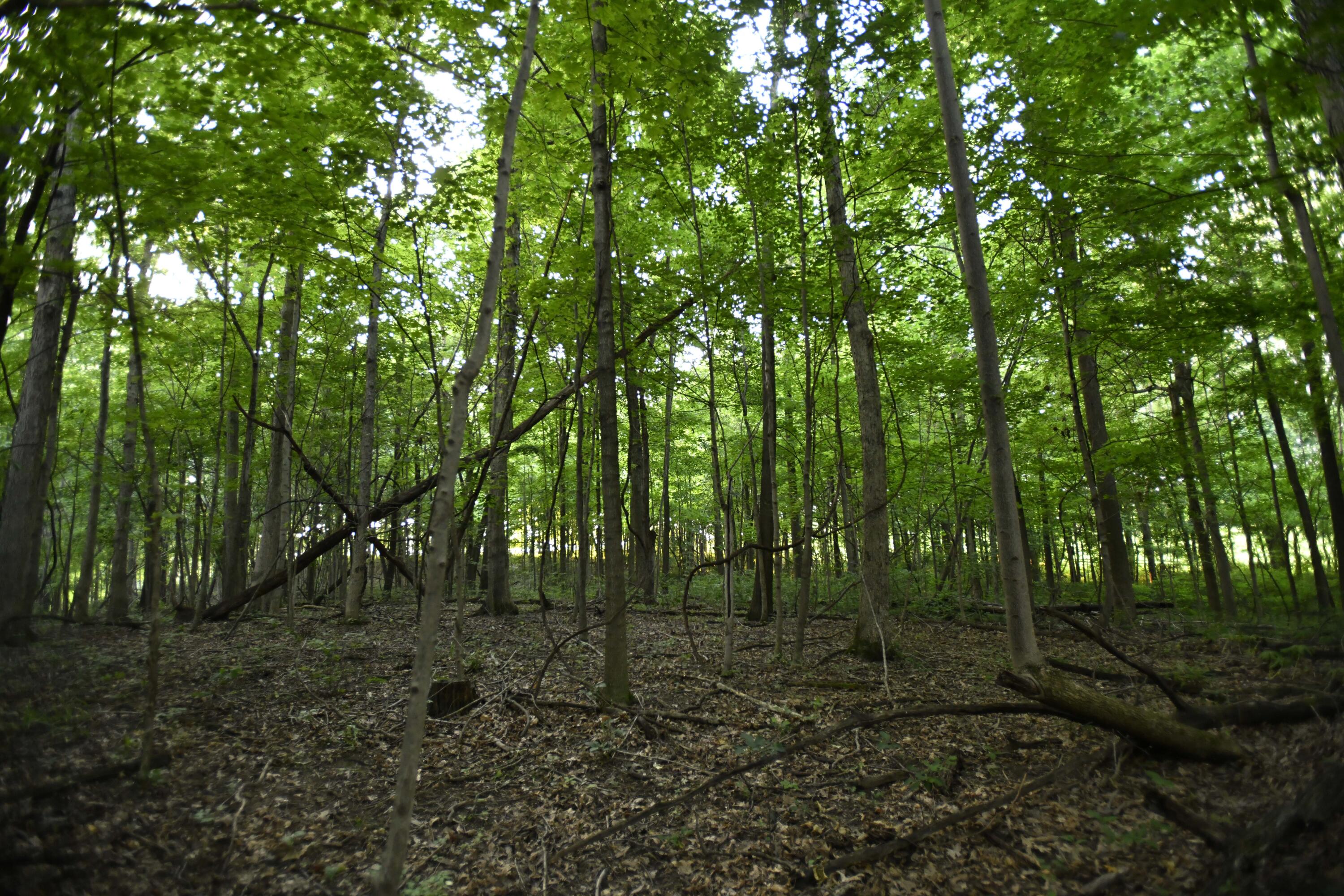 0 County Road 10, Bellefontaine, Ohio 43311