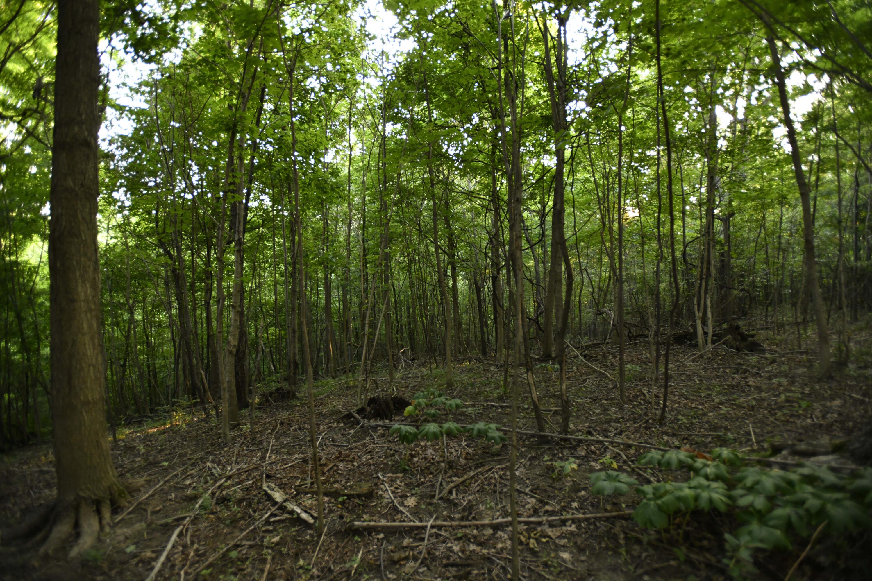 0 County Road 10, Bellefontaine, Ohio 43311