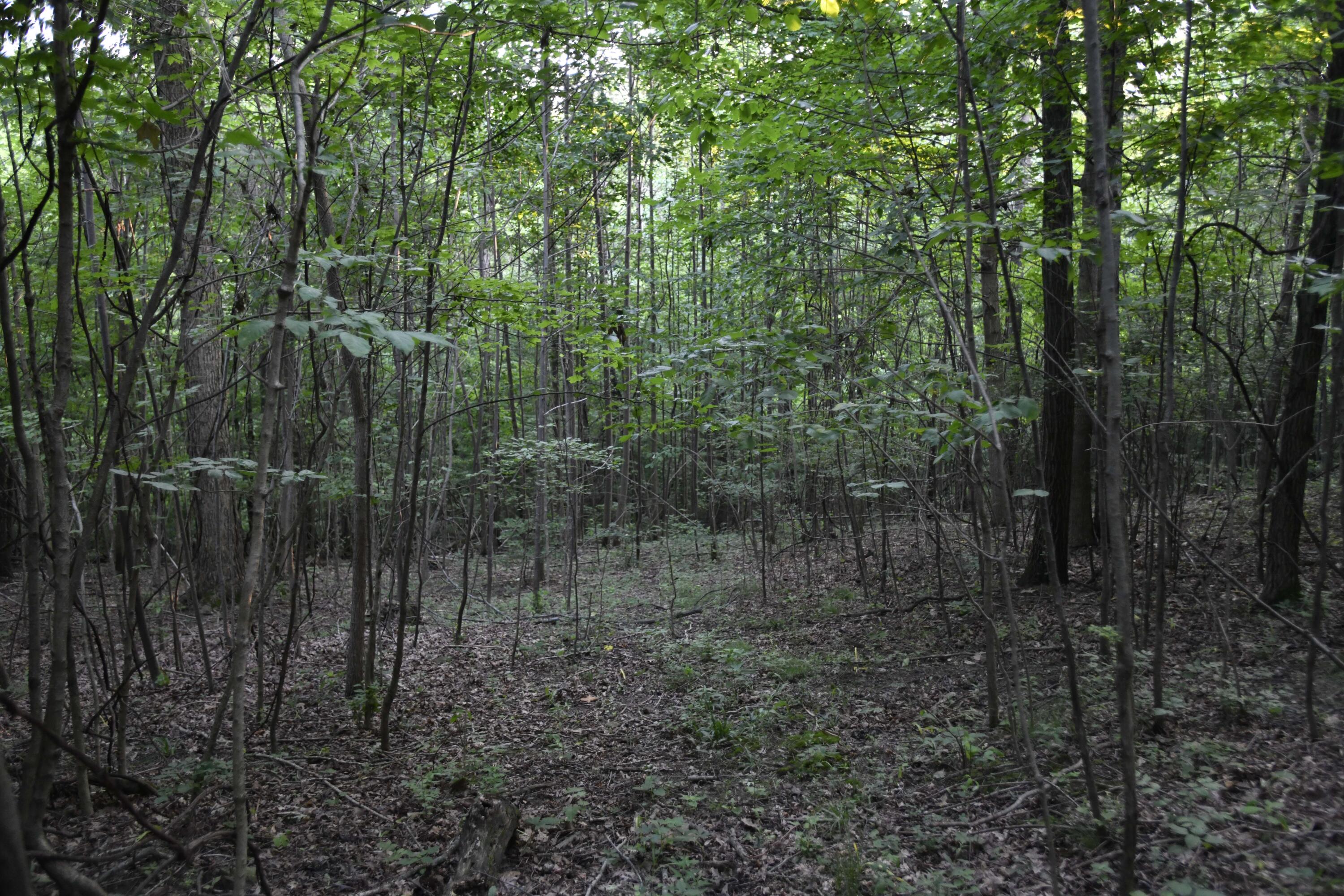 0 County Road 10, Bellefontaine, Ohio 43311