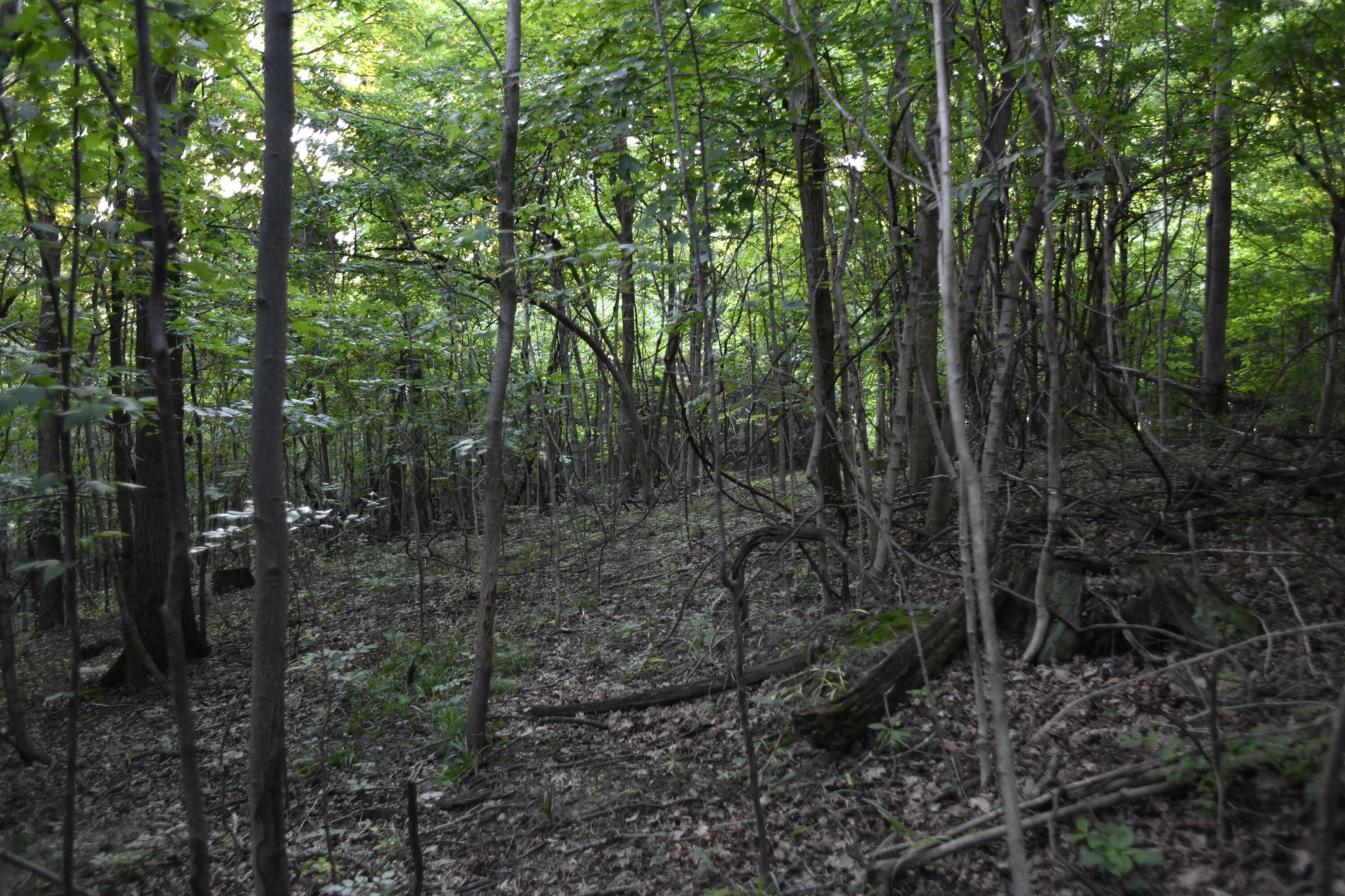 0 County Road 10, Bellefontaine, Ohio 43311