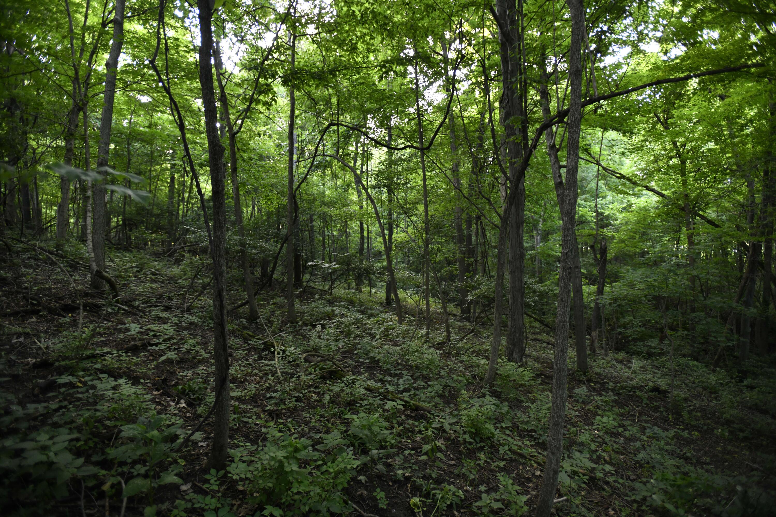 0 County Road 10, Bellefontaine, Ohio 43311