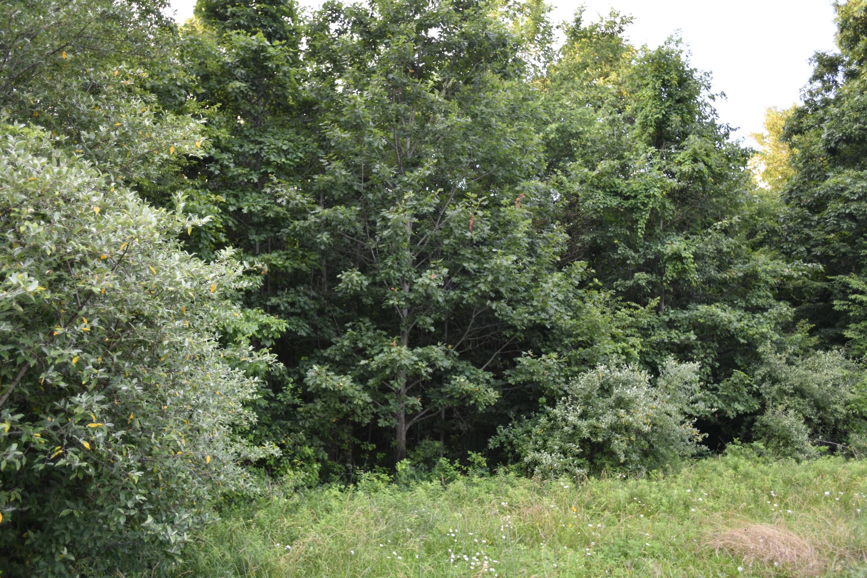 0 County Road 10, Bellefontaine, Ohio 43311