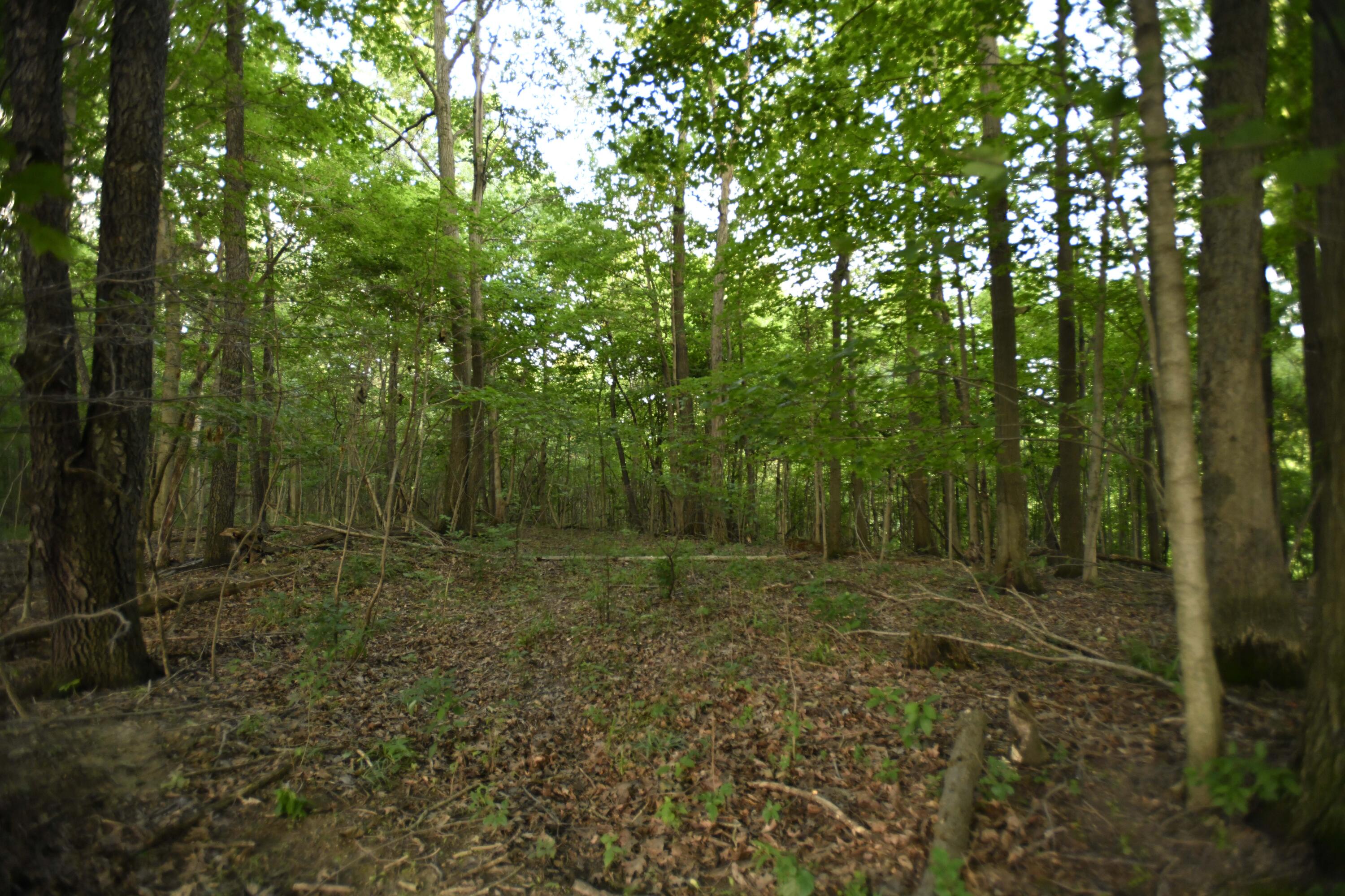0 County Road 10, Bellefontaine, Ohio 43311