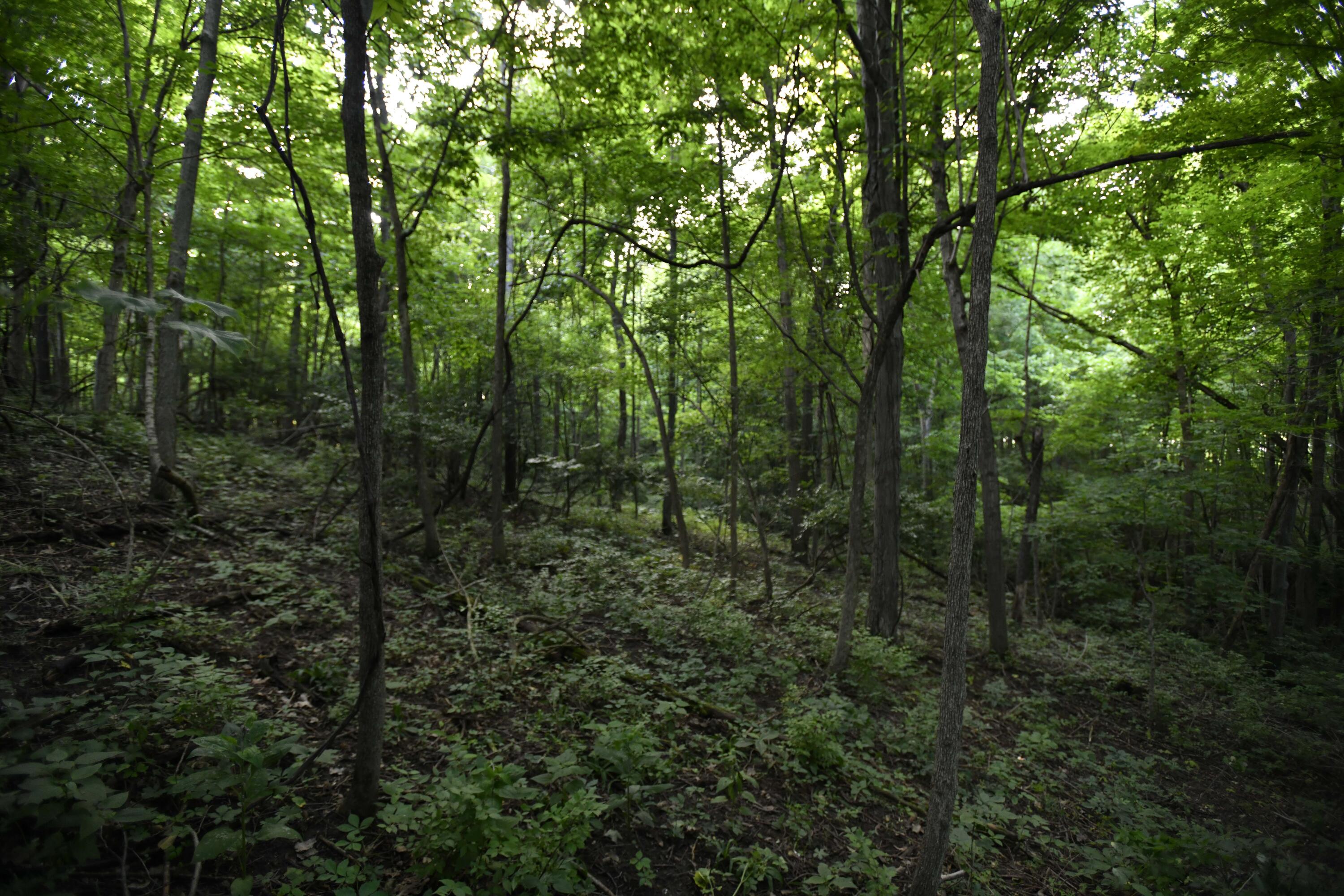 0 County Road 10, Bellefontaine, Ohio 43311