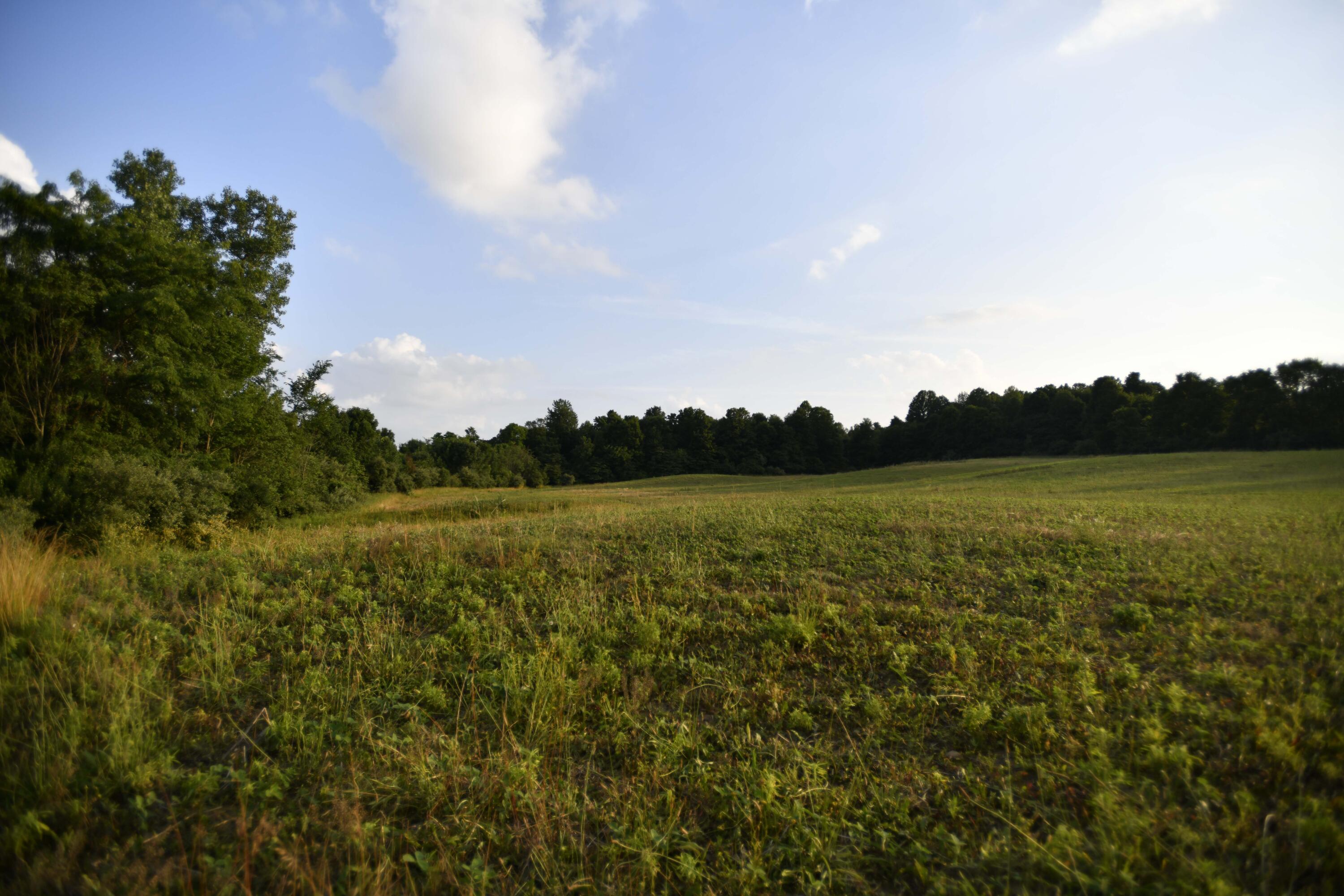 0 County Road 10, Bellefontaine, Ohio 43311