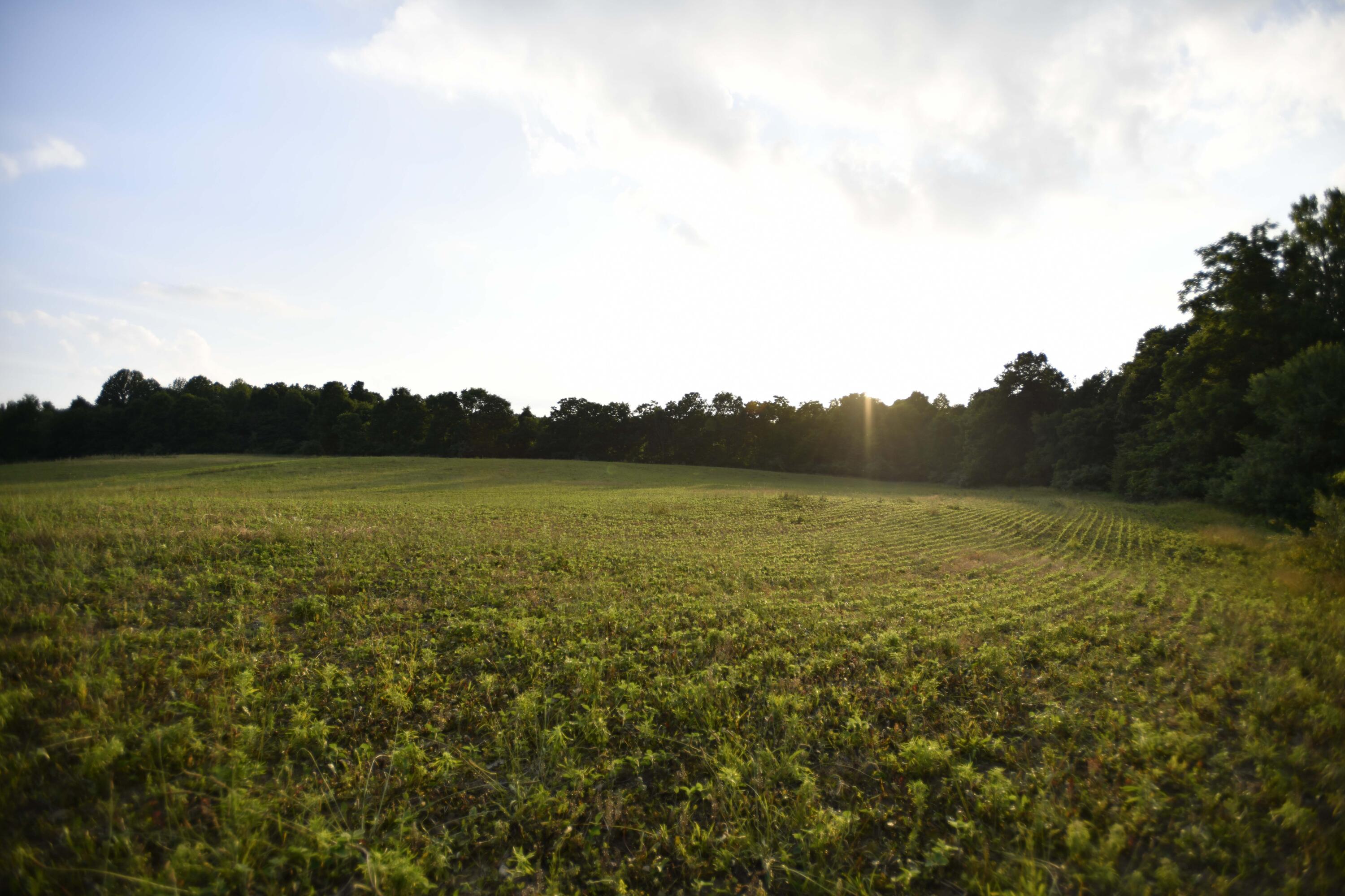 0 County Road 10, Bellefontaine, Ohio 43311