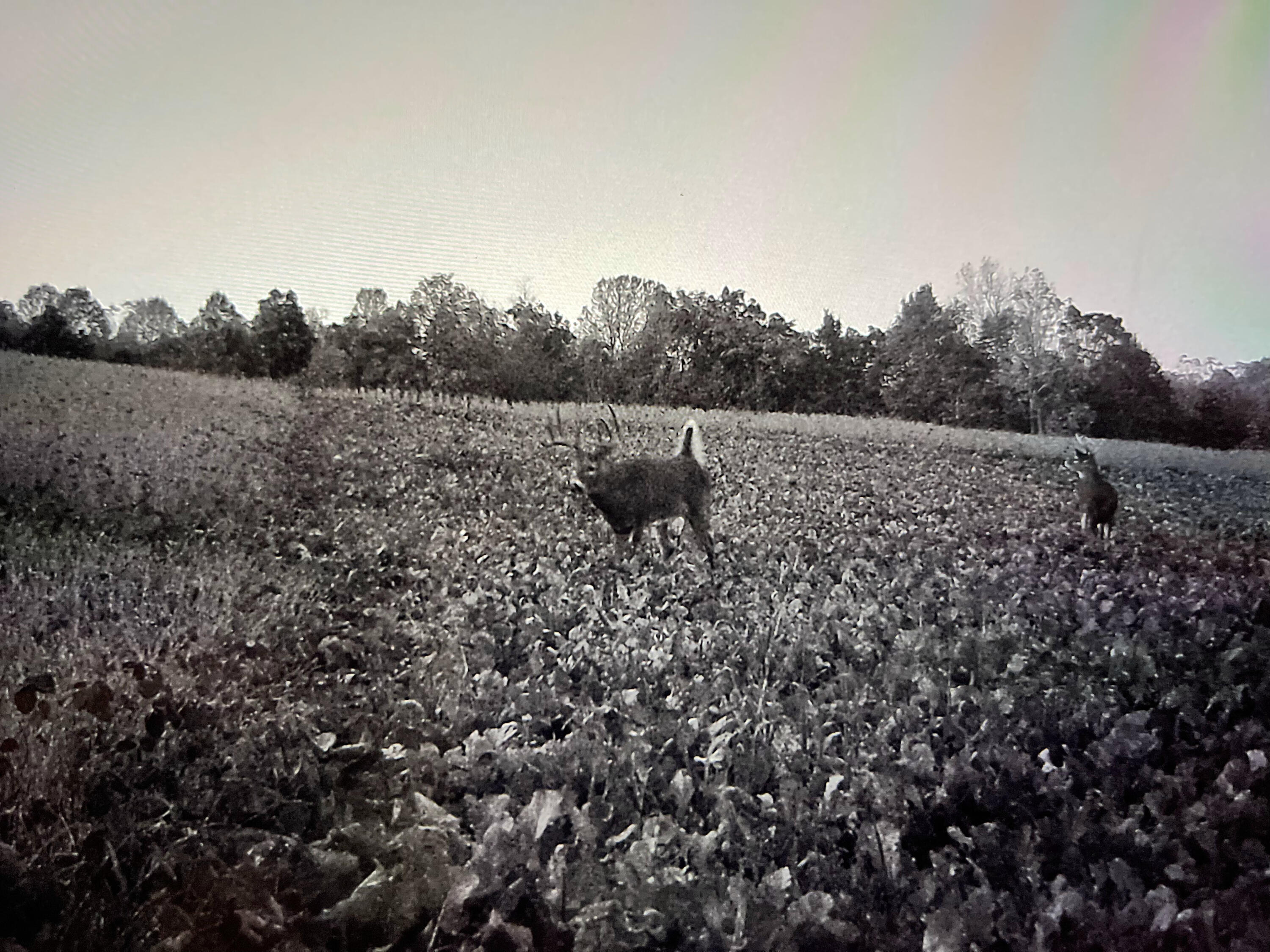 0 County Road 10, Bellefontaine, Ohio 43311