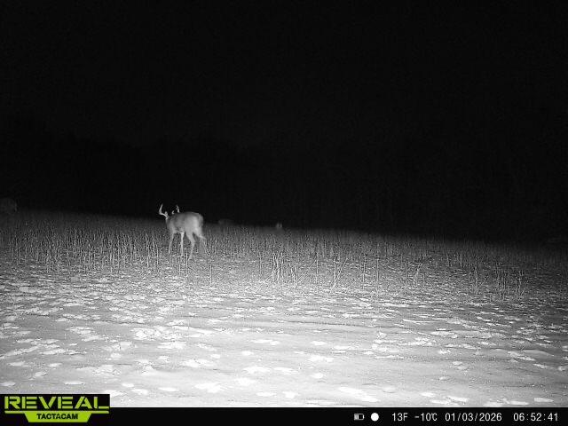 0 County Road 10, Bellefontaine, Ohio 43311
