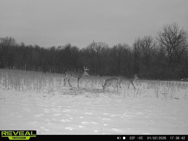 0 County Road 10, Bellefontaine, Ohio 43311