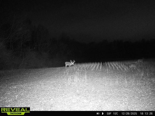 0 County Road 10, Bellefontaine, Ohio 43311