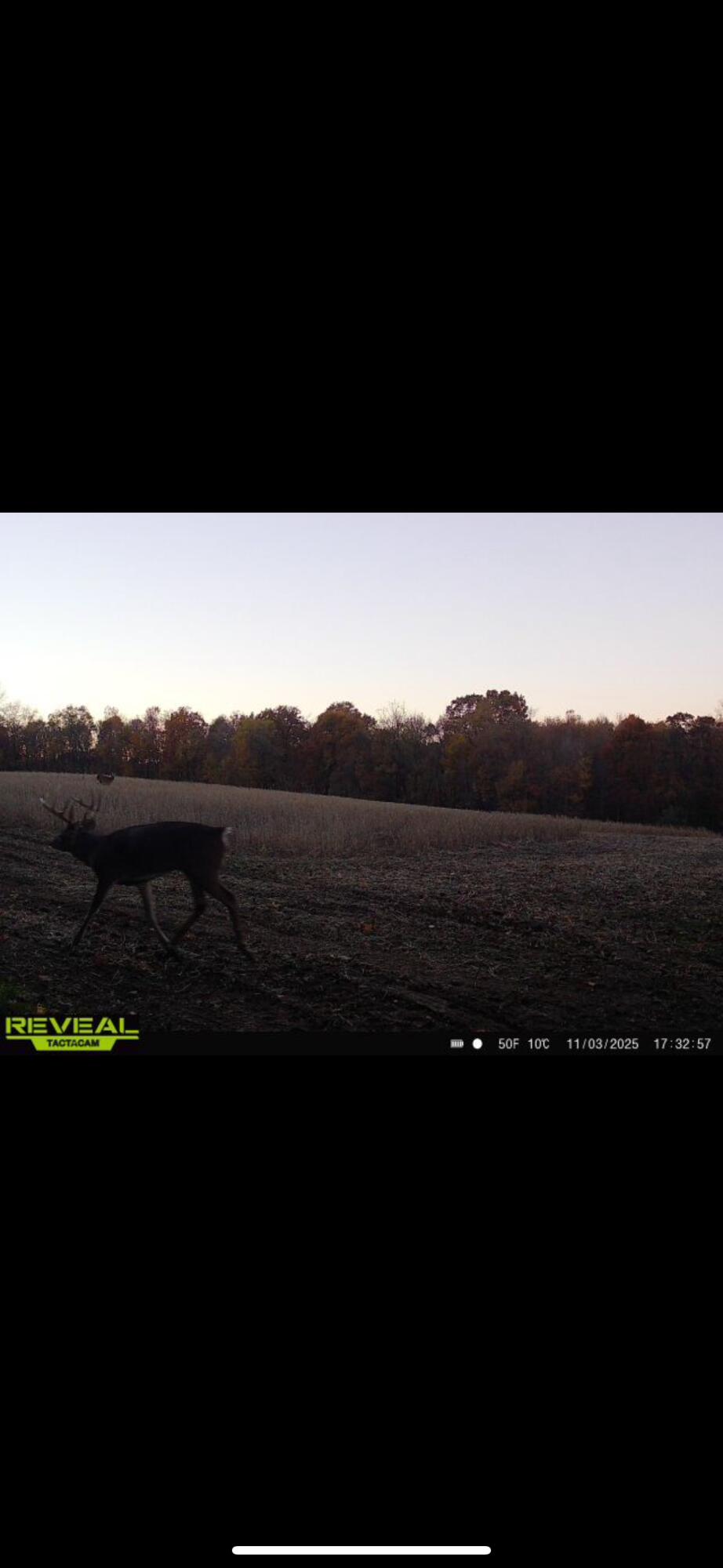 0 County Road 10, Bellefontaine, Ohio 43311