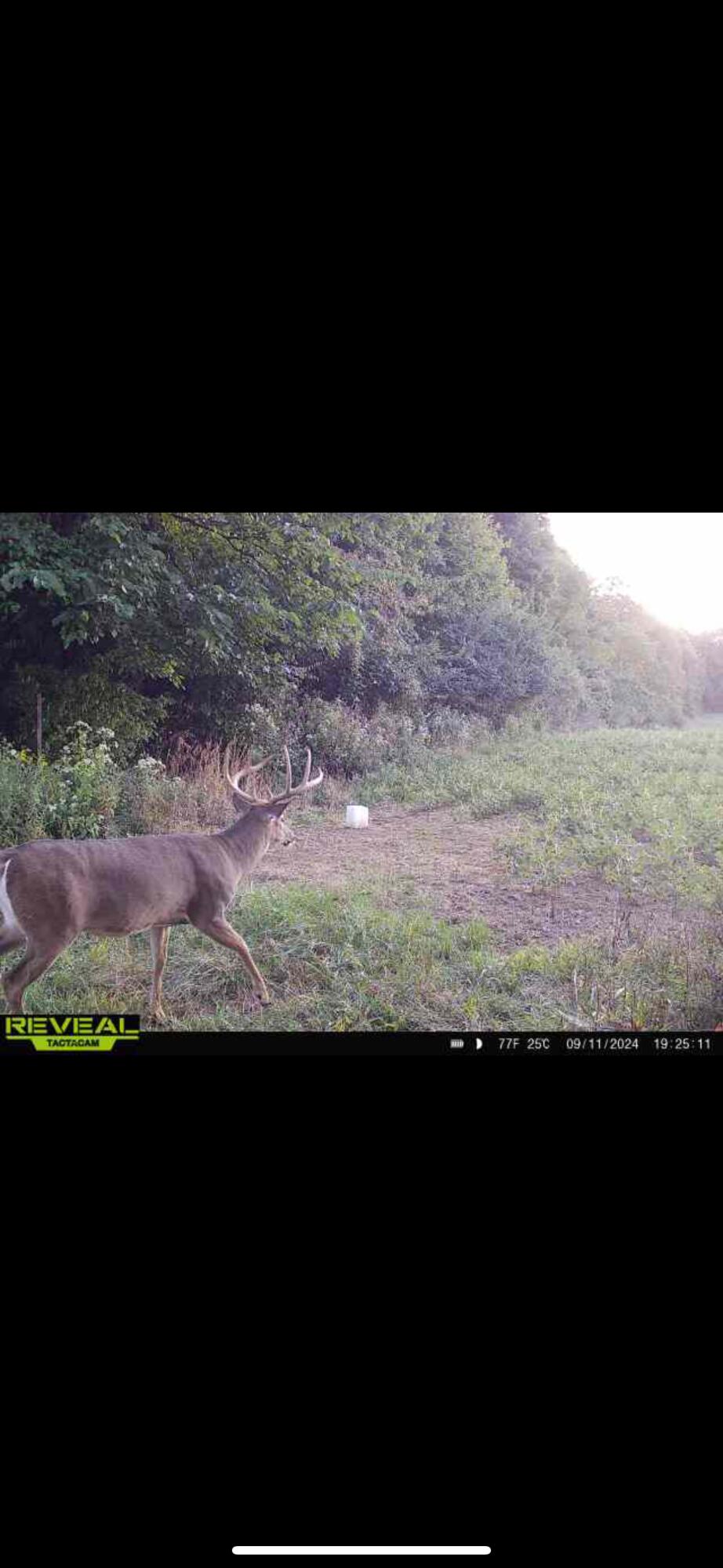 0 County Road 10, Bellefontaine, Ohio 43311