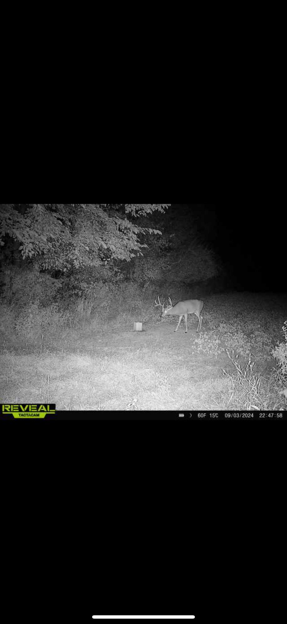0 County Road 10, Bellefontaine, Ohio 43311