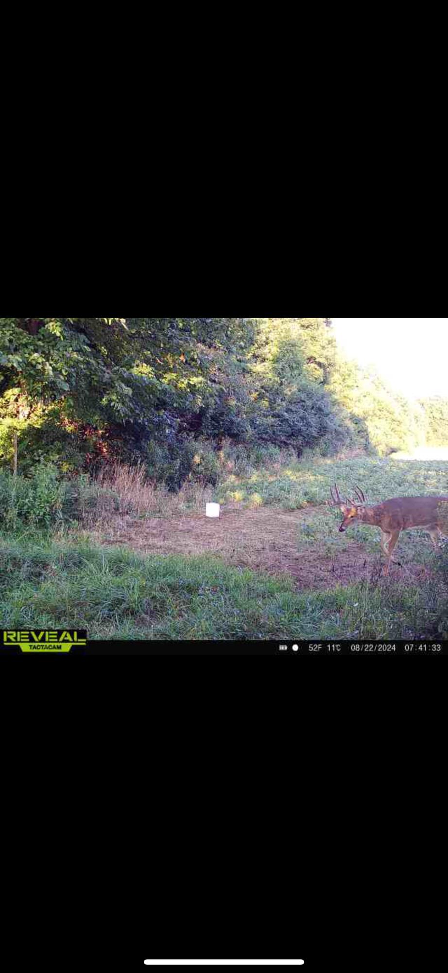 0 County Road 10, Bellefontaine, Ohio 43311