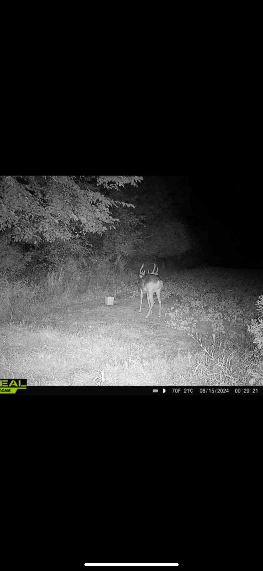 0 County Road 10, Bellefontaine, Ohio 43311