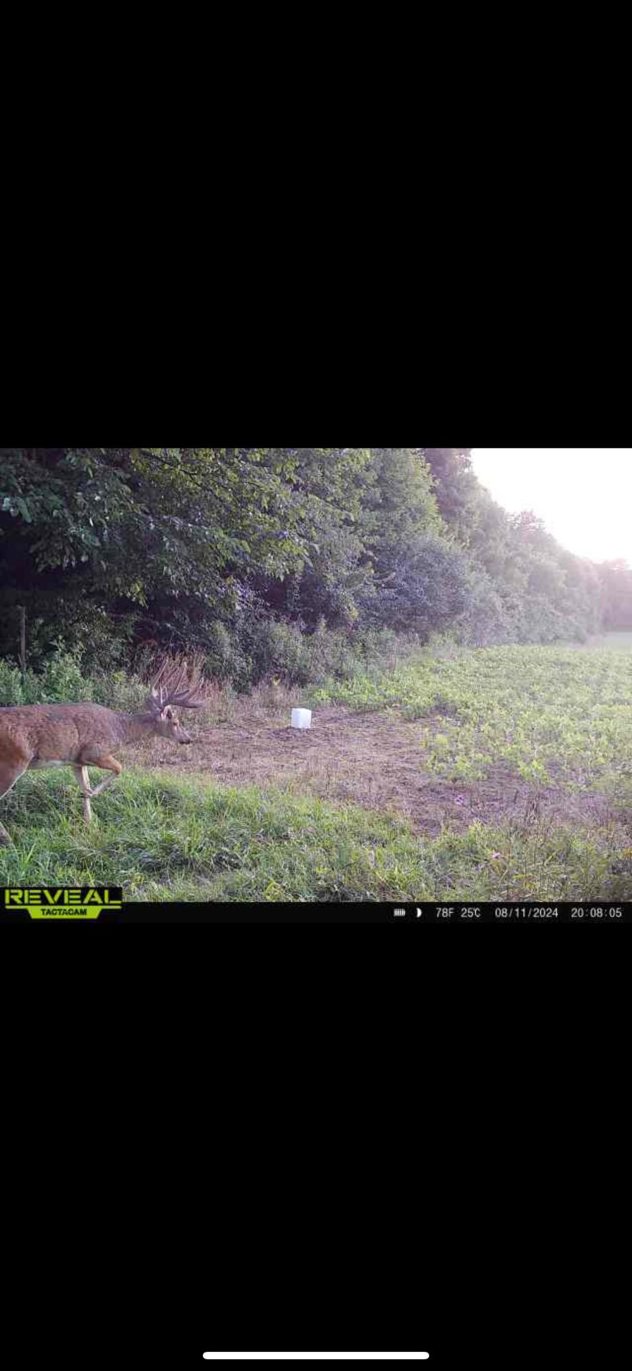 0 County Road 10, Bellefontaine, Ohio 43311