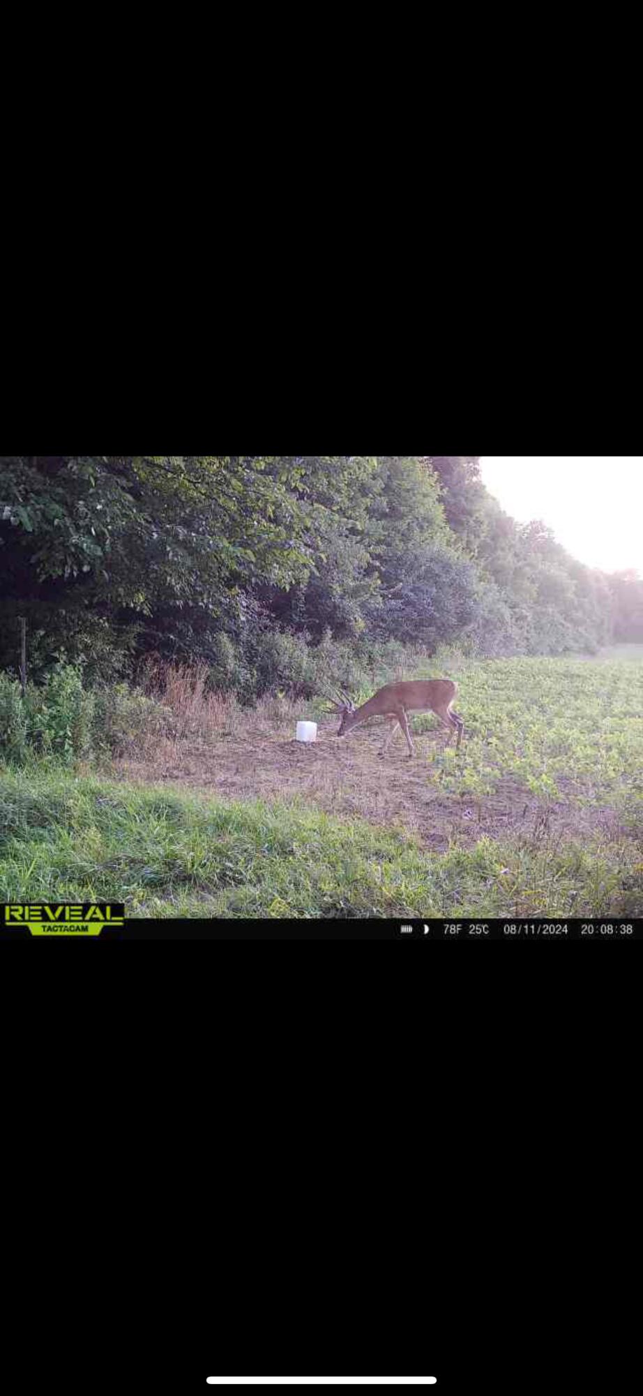 0 County Road 10, Bellefontaine, Ohio 43311