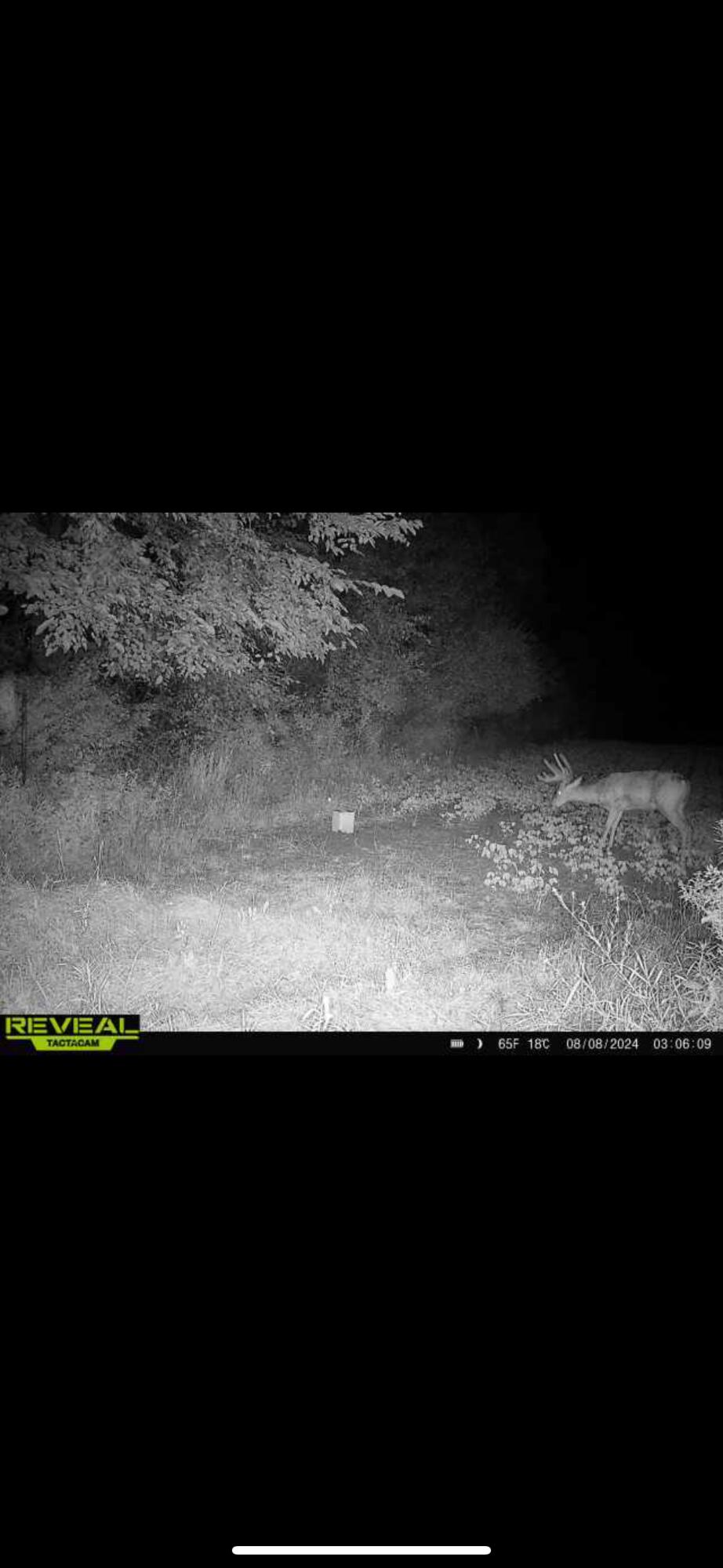 0 County Road 10, Bellefontaine, Ohio 43311