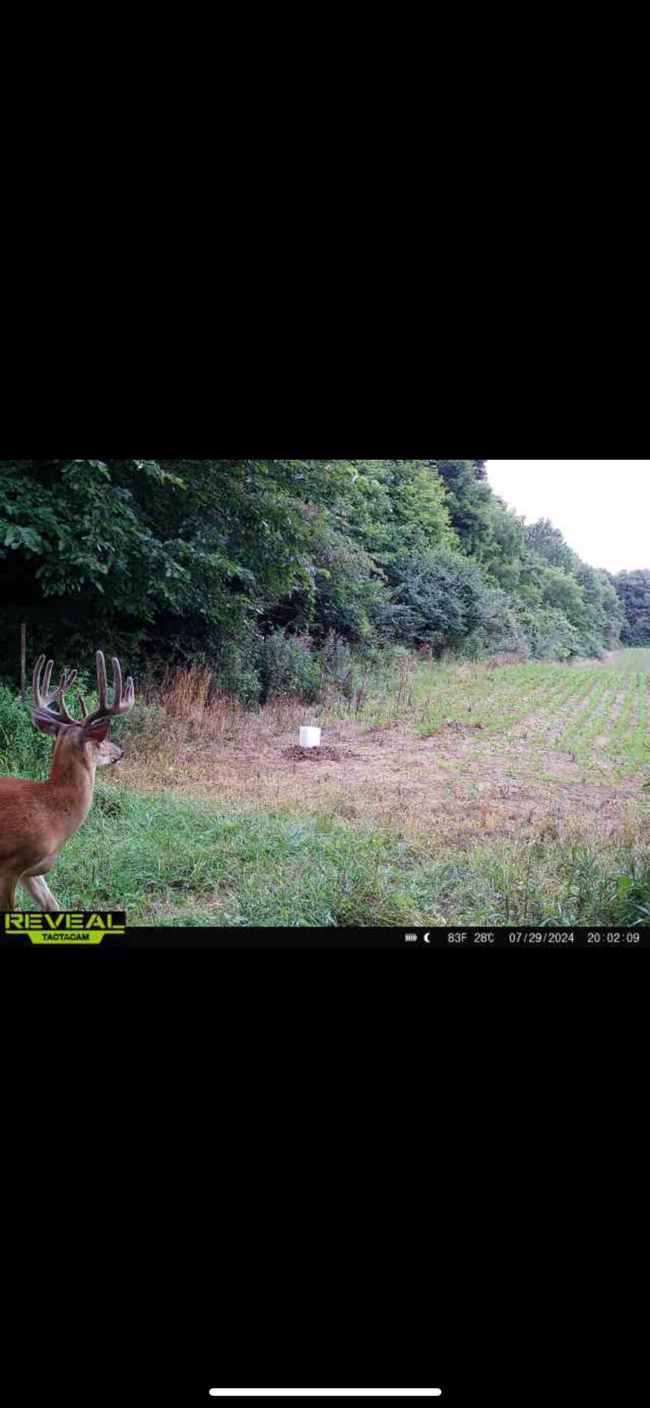0 County Road 10, Bellefontaine, Ohio 43311