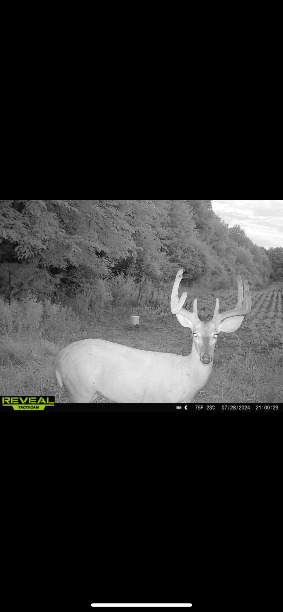 0 County Road 10, Bellefontaine, Ohio 43311