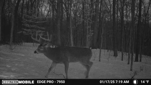 0 Stephen Young, Camden, Ohio 45311