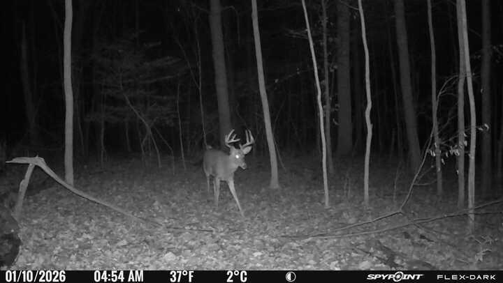 0 Stephen Young, Camden, Ohio 45311