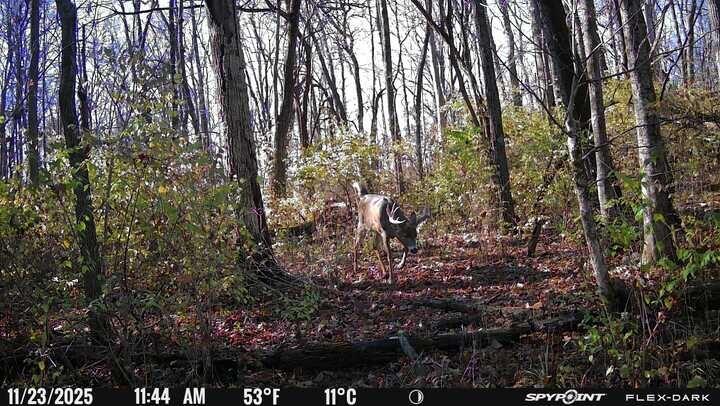 0 Stephen Young, Camden, Ohio 45311