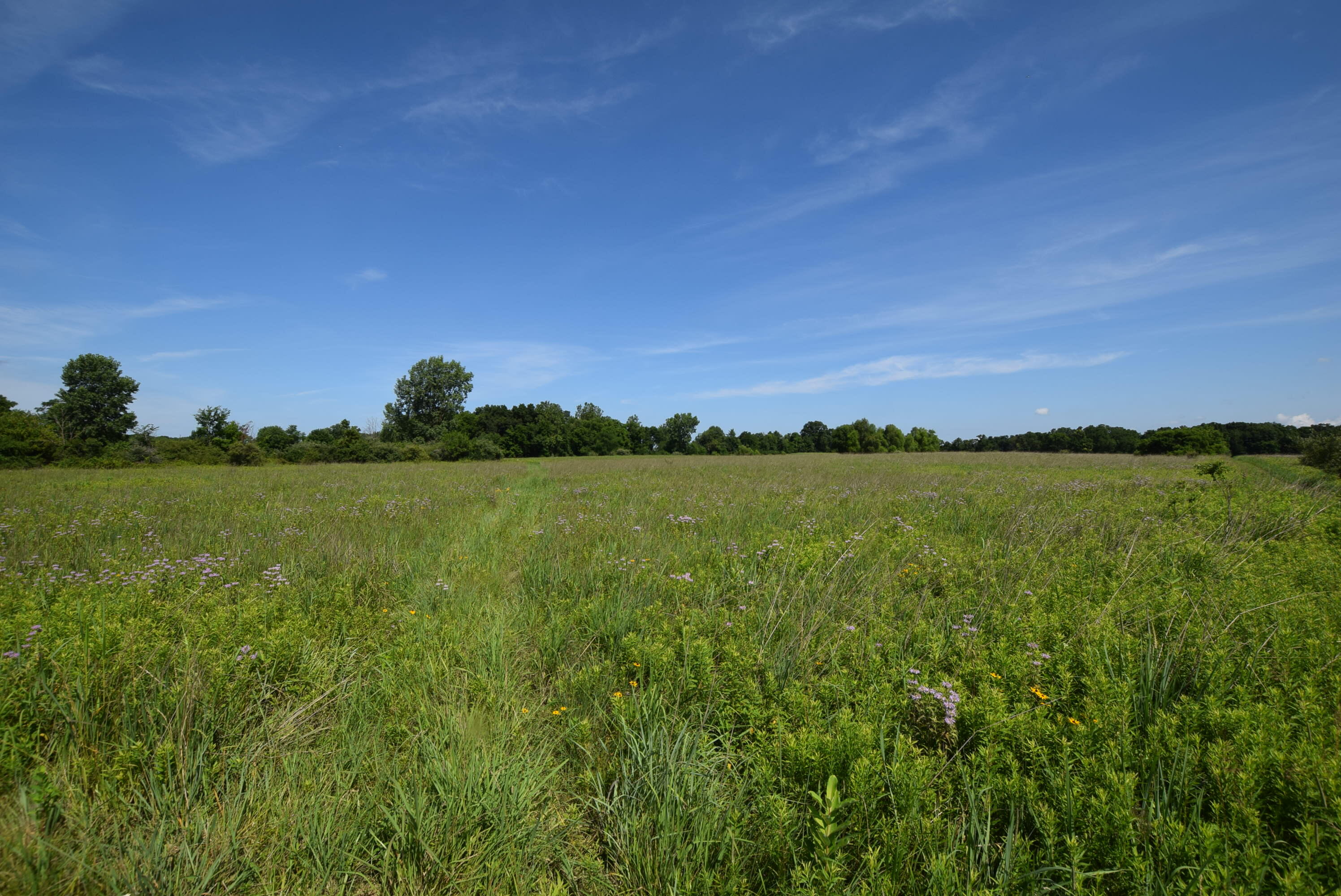 0 Millerstown, Urbana, Ohio 43078