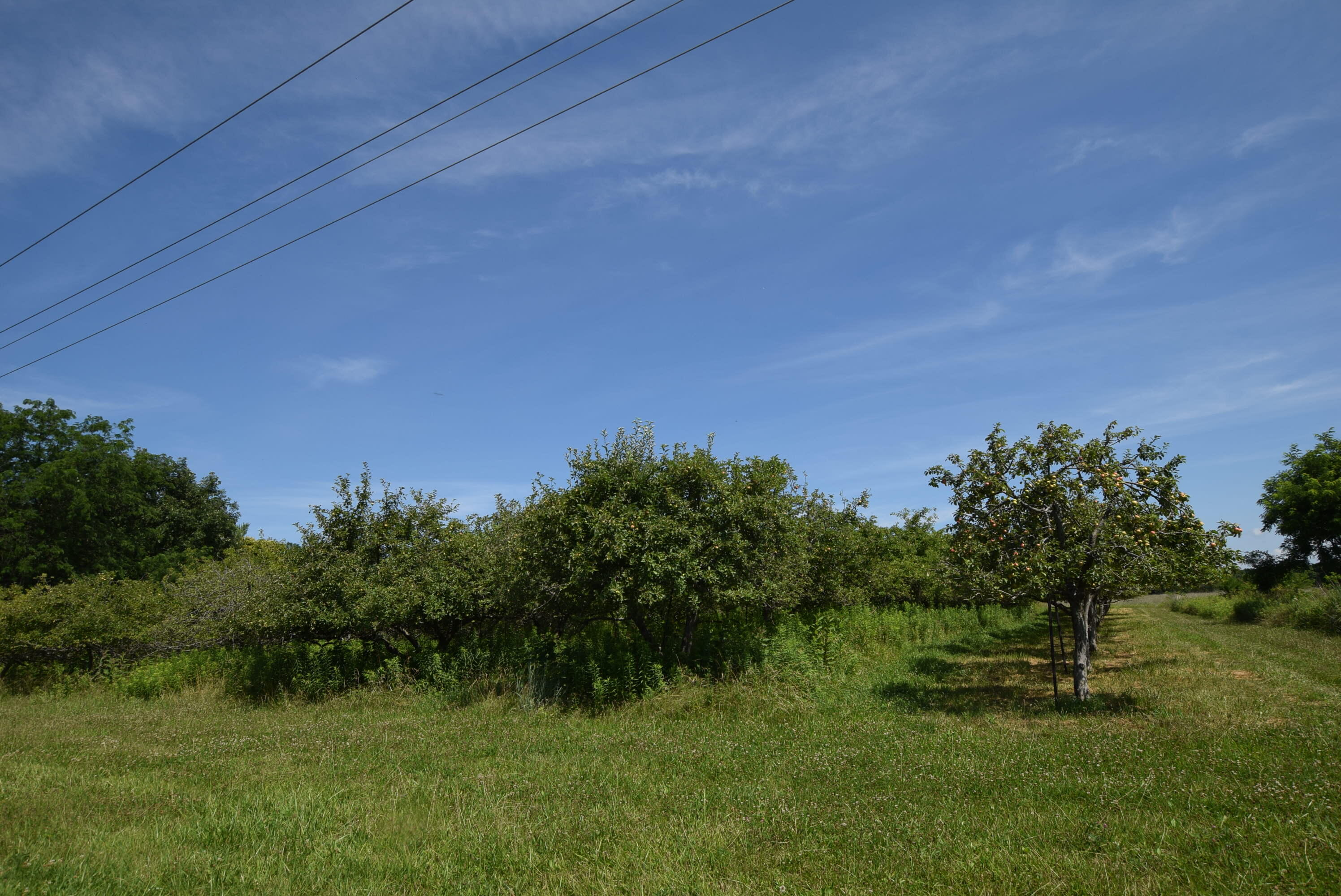 0 Millerstown, Urbana, Ohio 43078