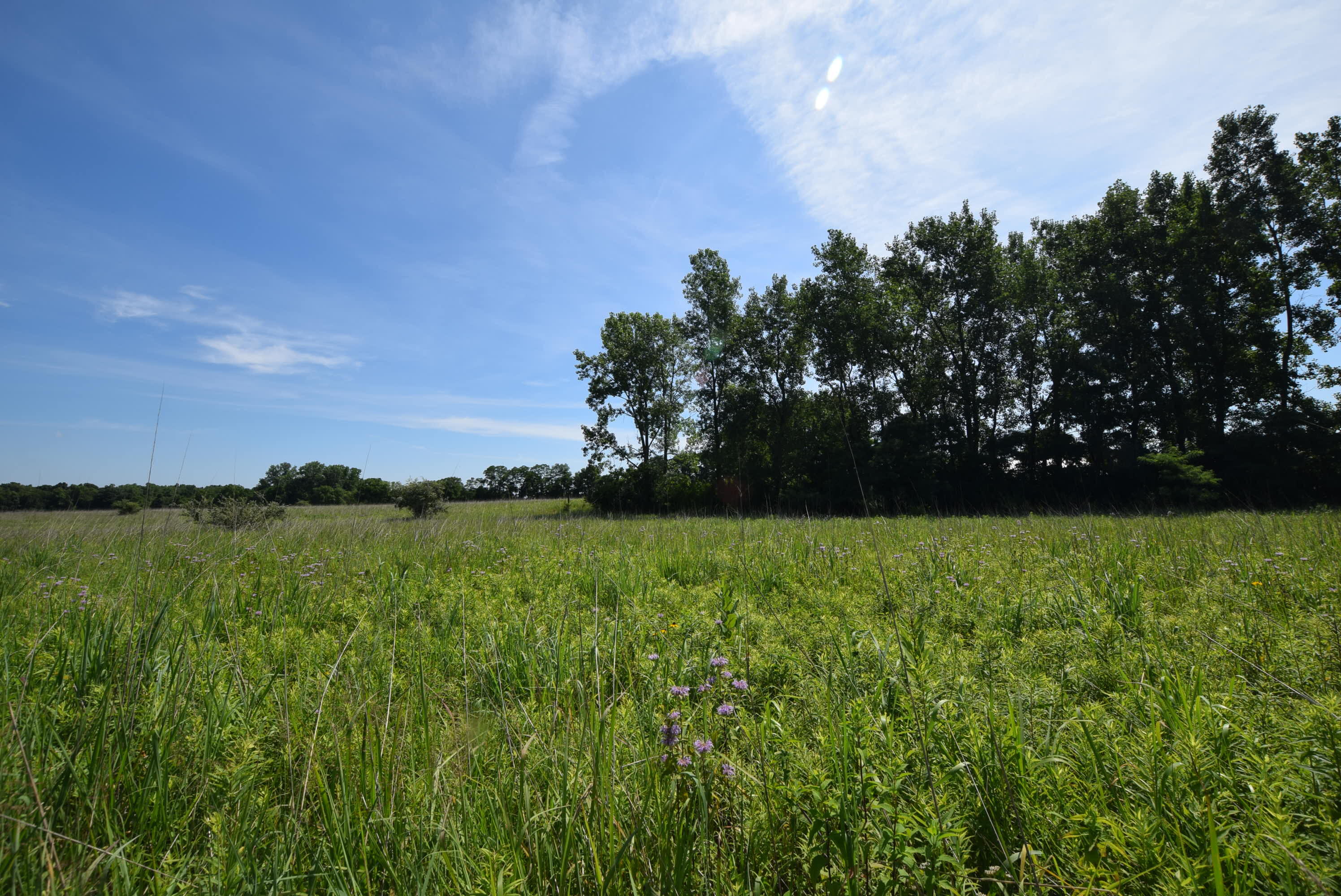 0 Millerstown, Urbana, Ohio 43078