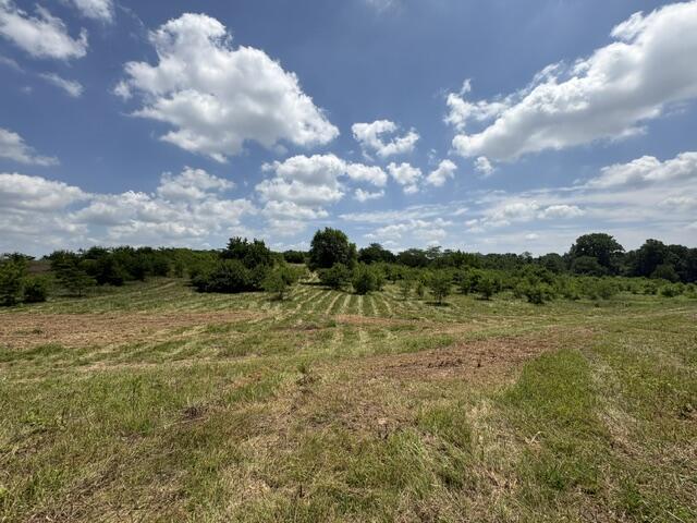 0 Middle Urbana Rd, Urbana, Ohio 43078