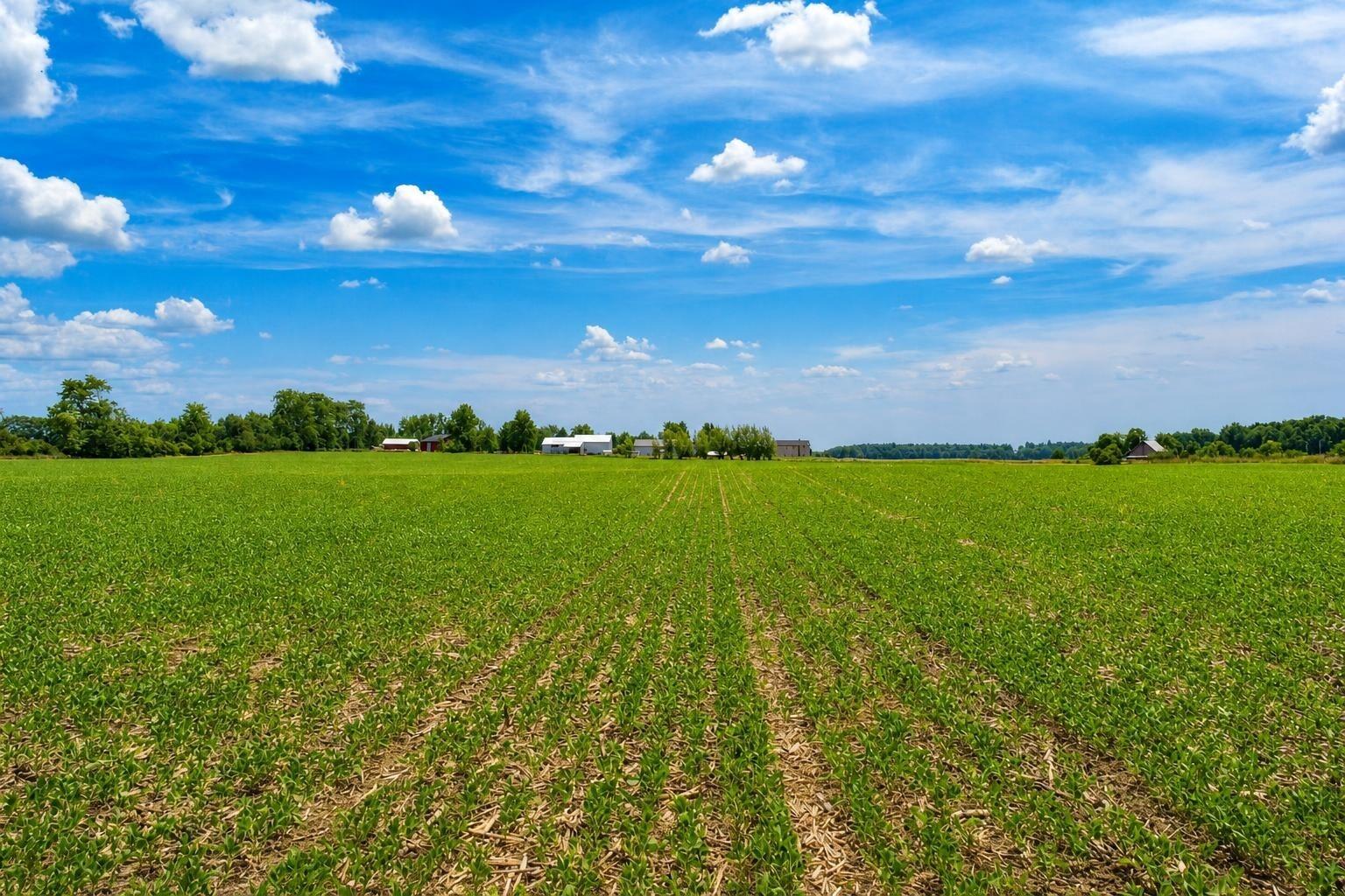 0 Township Road 212, Bellefontaine, Ohio 43311
