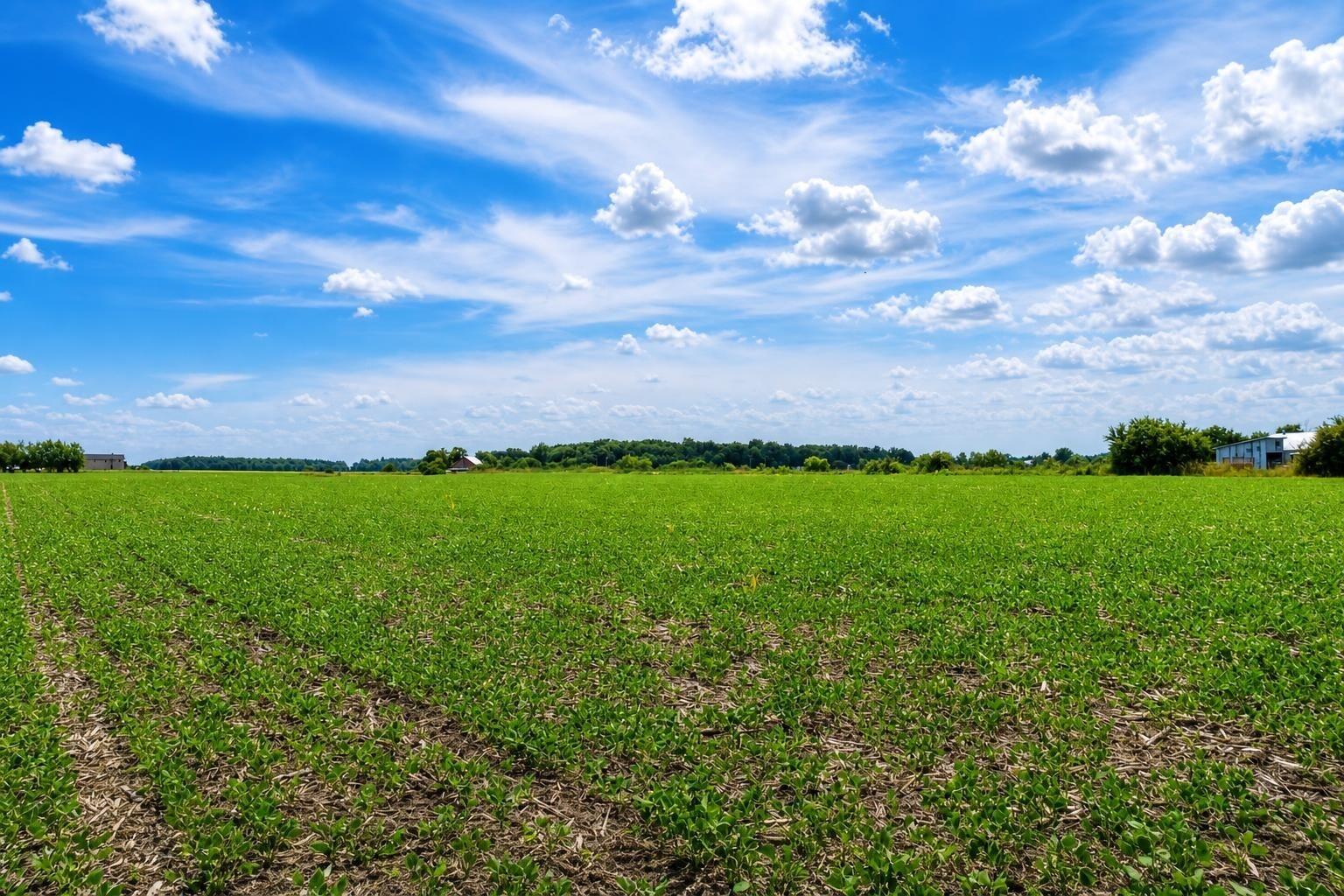 0 Township Road 212, Bellefontaine, Ohio 43311