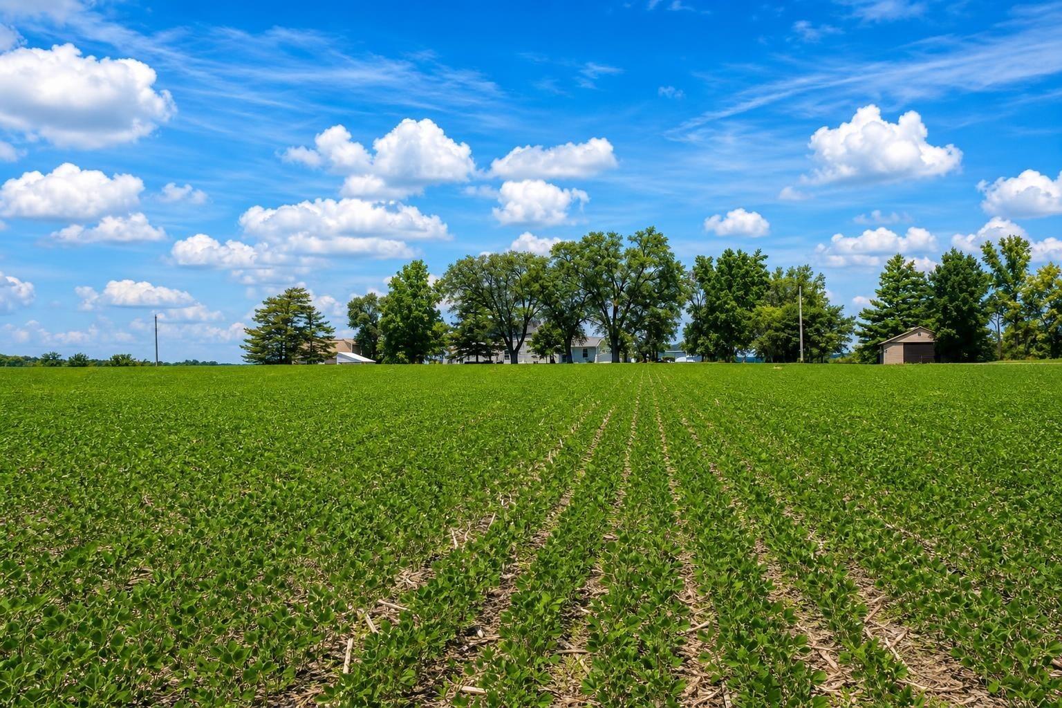 0 Township Road 212, Bellefontaine, Ohio 43311