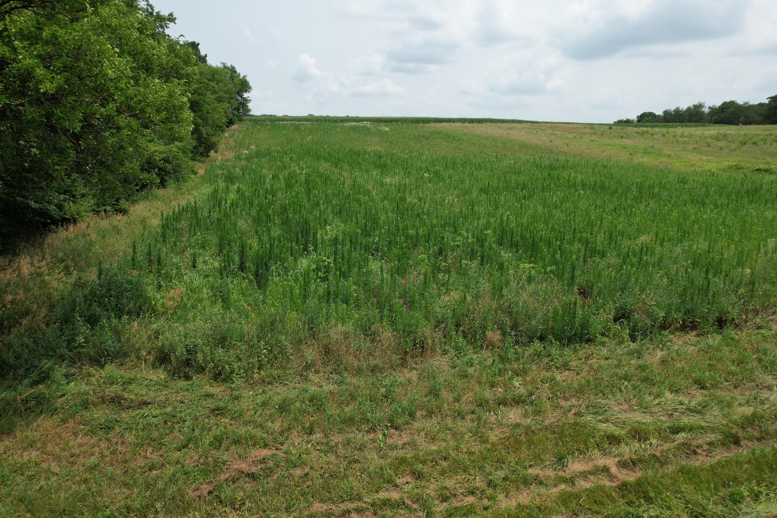 . Township Rd 188, West Liberty, Ohio 43357
