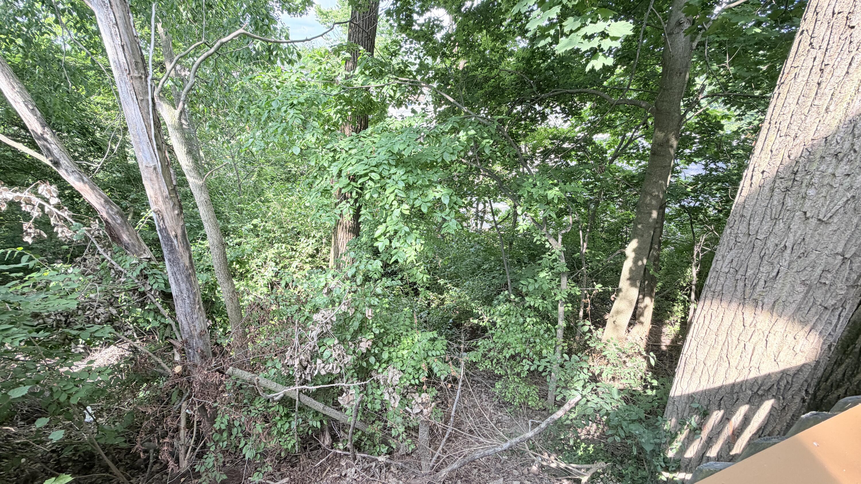 834 West, Sidney, Ohio 45365