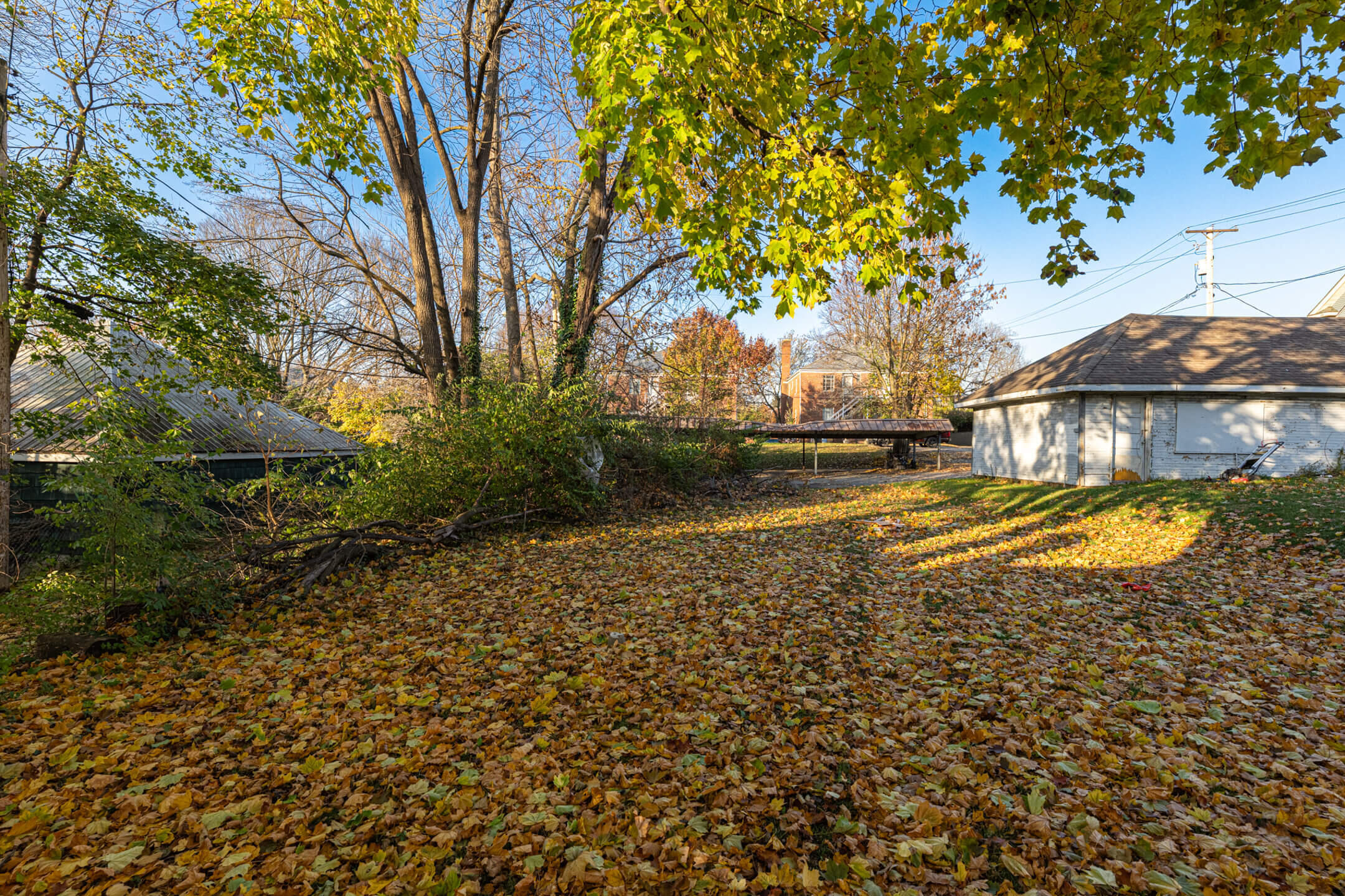 24 Bill Edwards, Springfield, Ohio 45504
