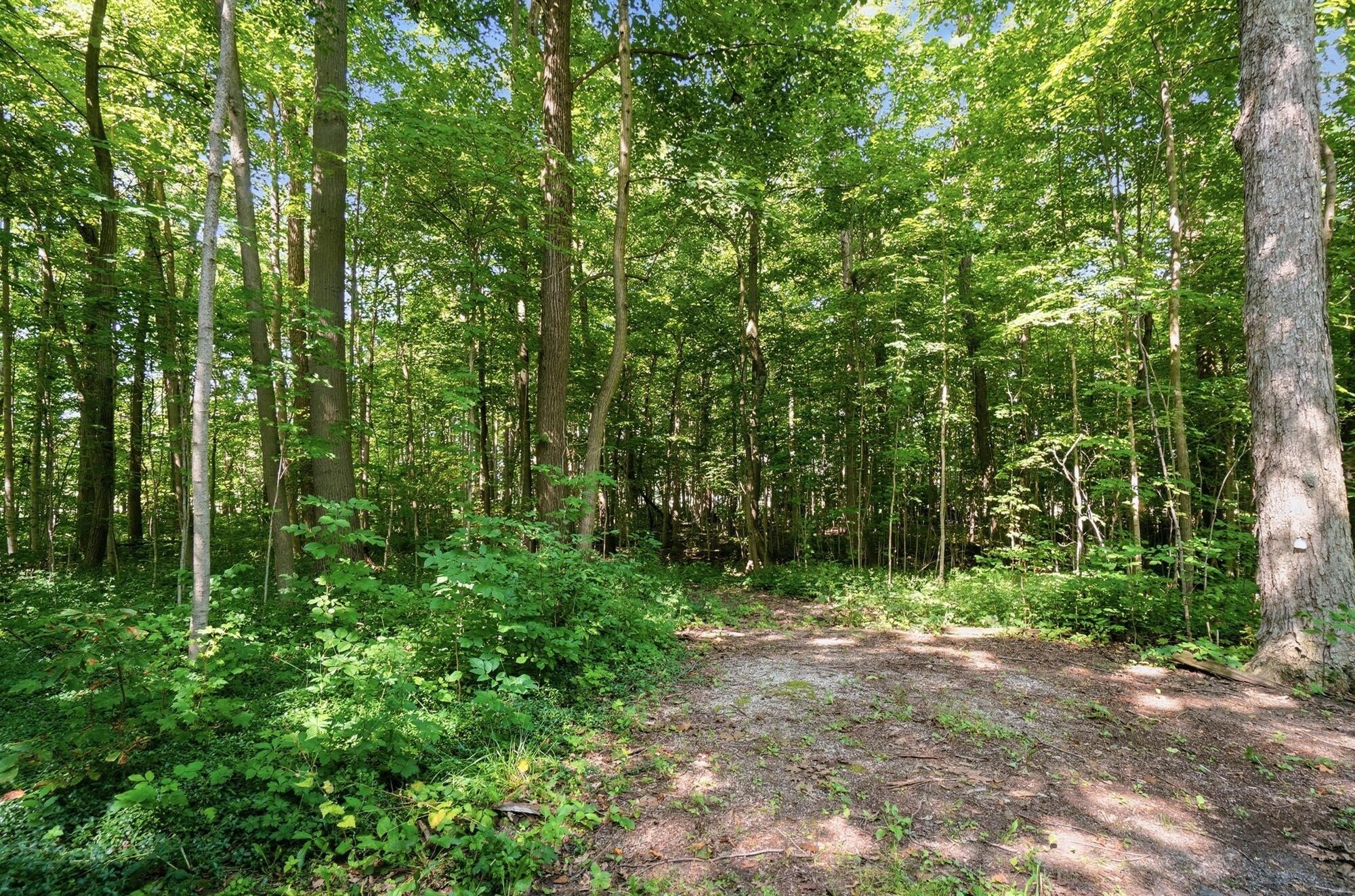 24545 Fairmount, Waynesfield, Ohio 45896