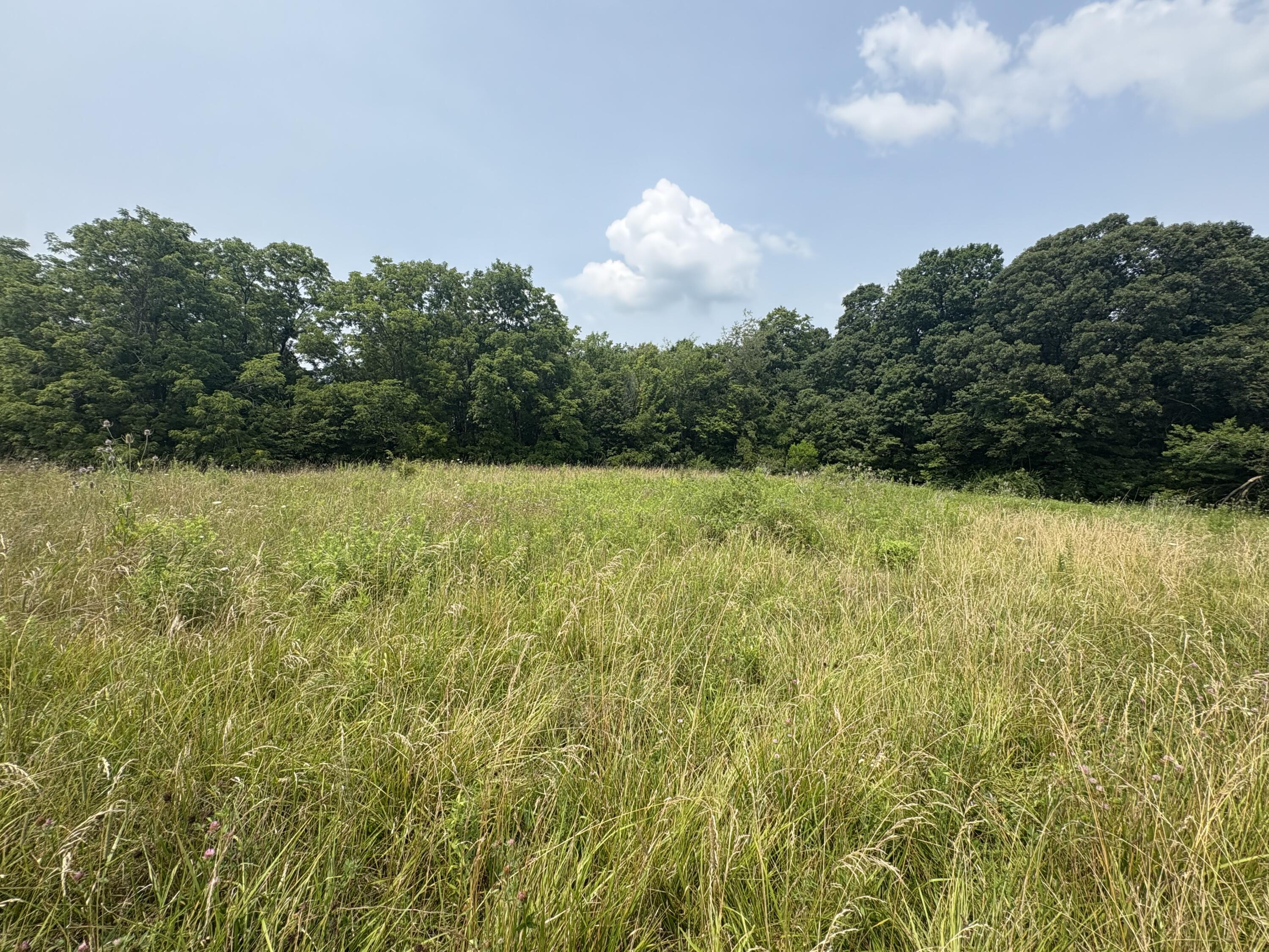 0 Licklider, Conover, Ohio 45317