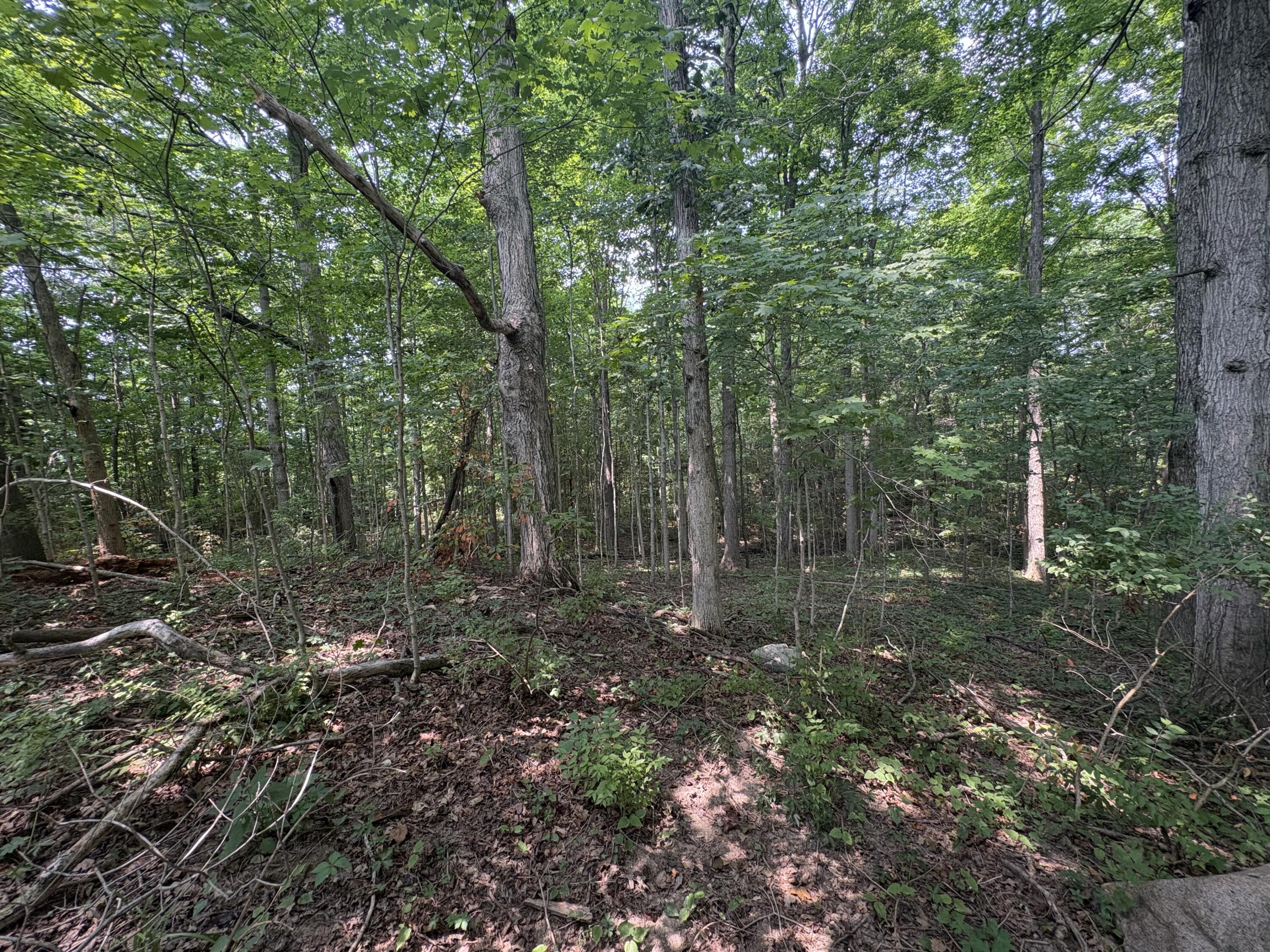 0 Licklider, Conover, Ohio 45317