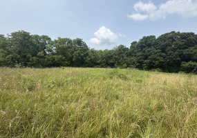 0 Licklider, Conover, Ohio 45317, ,Land,For Sale,Licklider,1047168 0 Licklider, Conover, Ohio 45317, ,Land,For Sale,Licklider,1047168