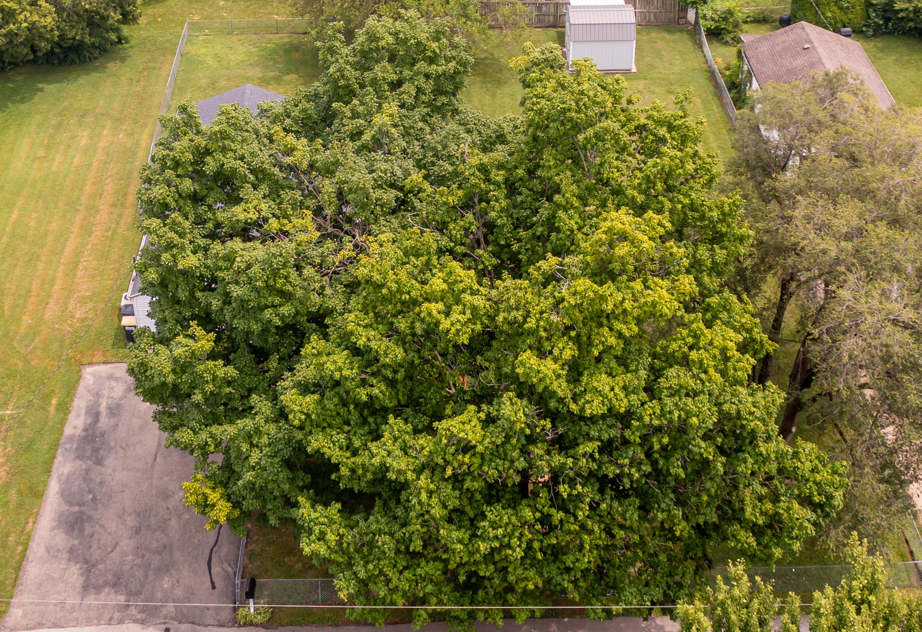 117 Orchard, Brookville, Ohio 45309