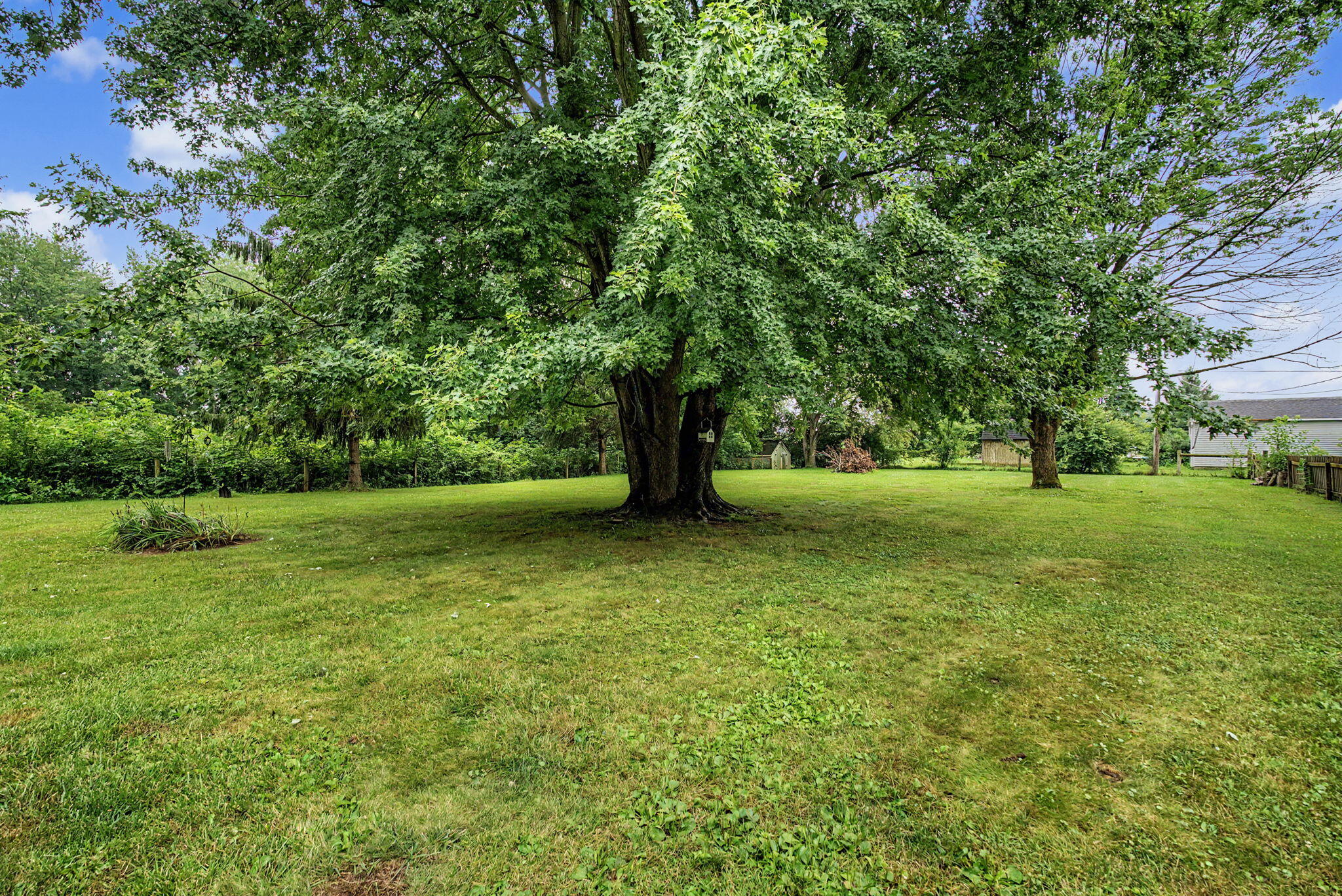 1000 Buena Vista, South Vienna, Ohio 45369
