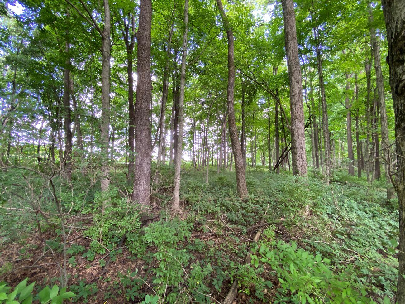 1010 Herr, Urbana, Ohio 43078