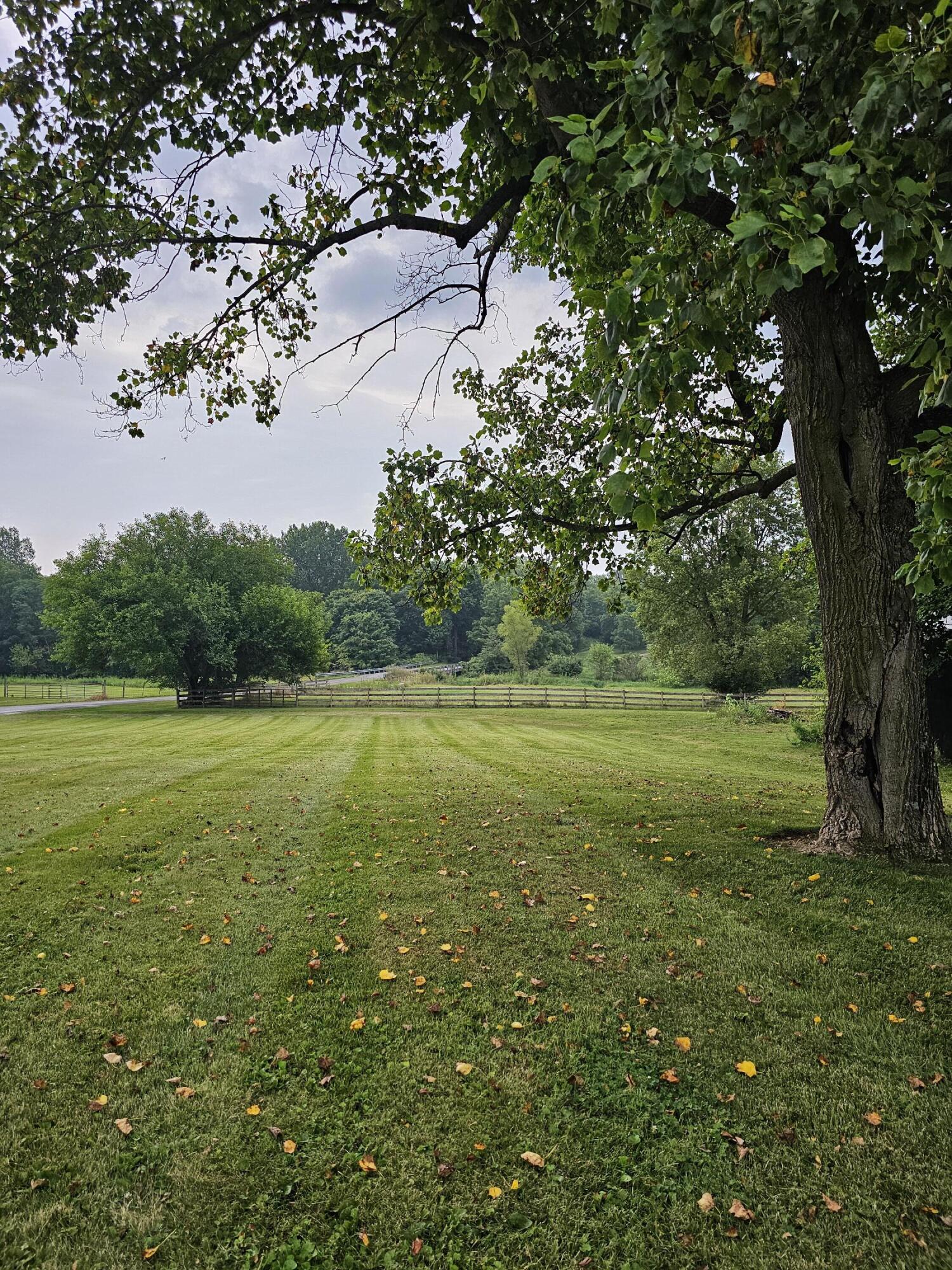 3977 Everett, Urbana, Ohio 43078