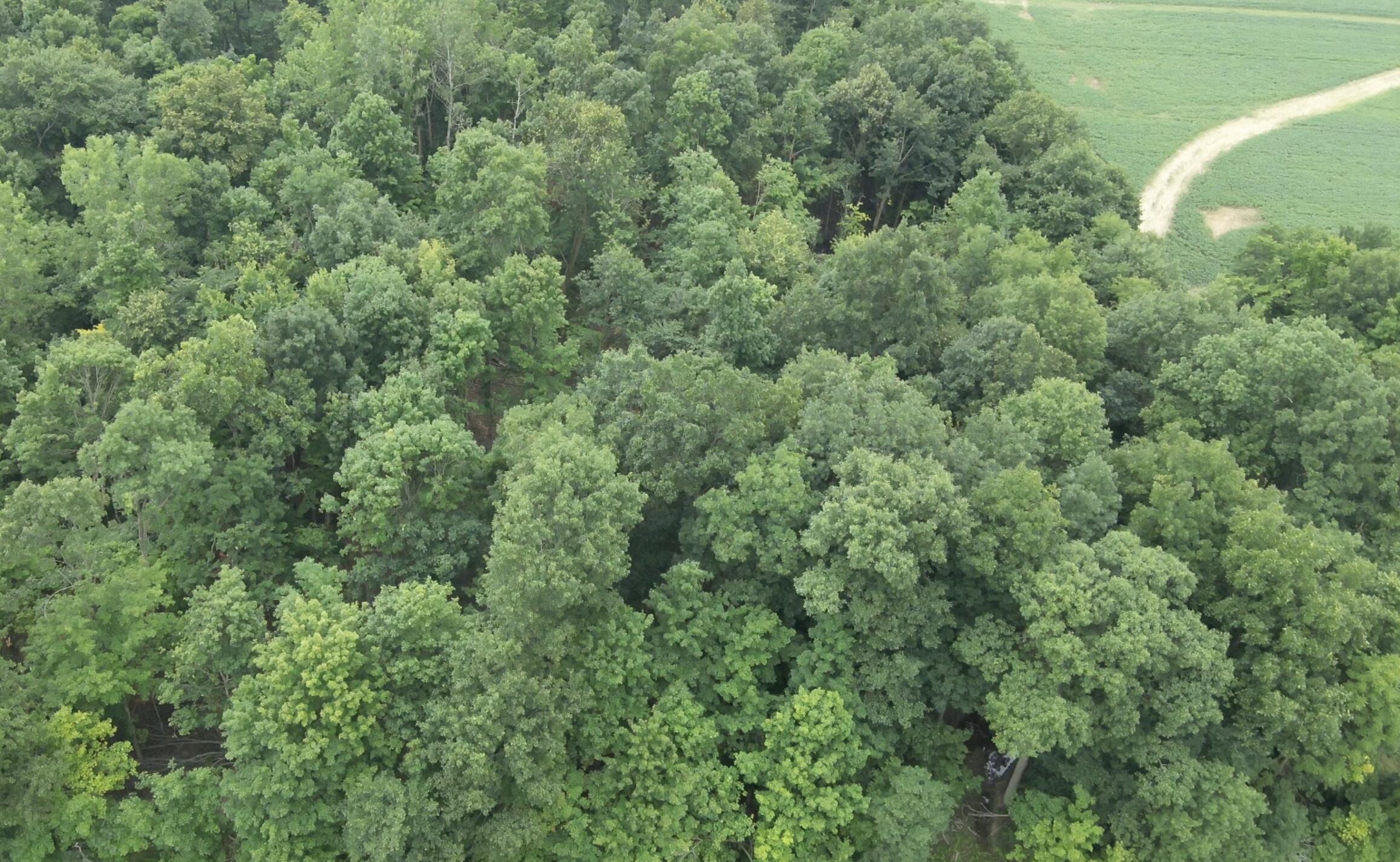 0 Raymond, Marysville, Ohio 43040