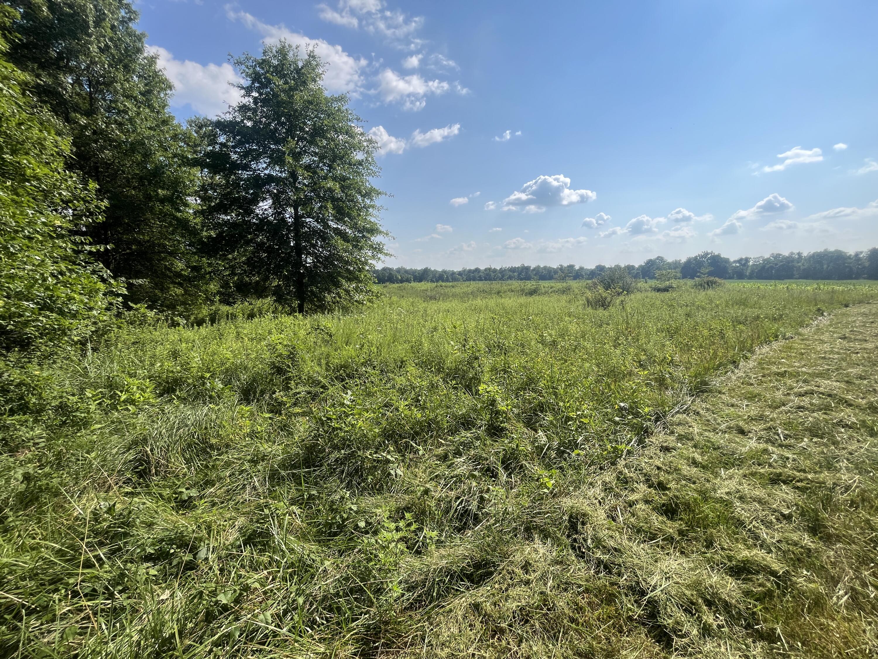 0 Raymond, Marysville, Ohio 43040