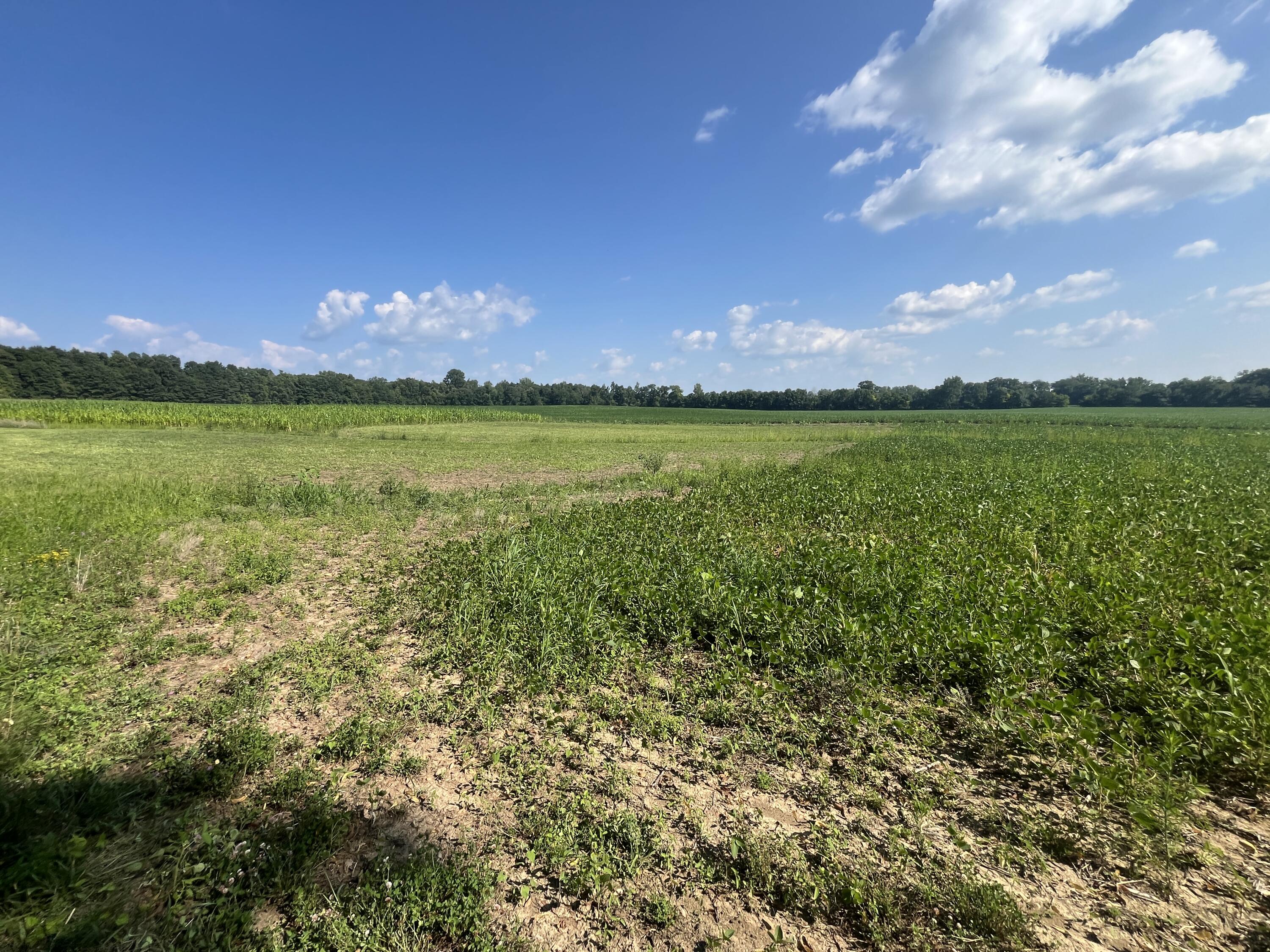 0 Raymond, Marysville, Ohio 43040