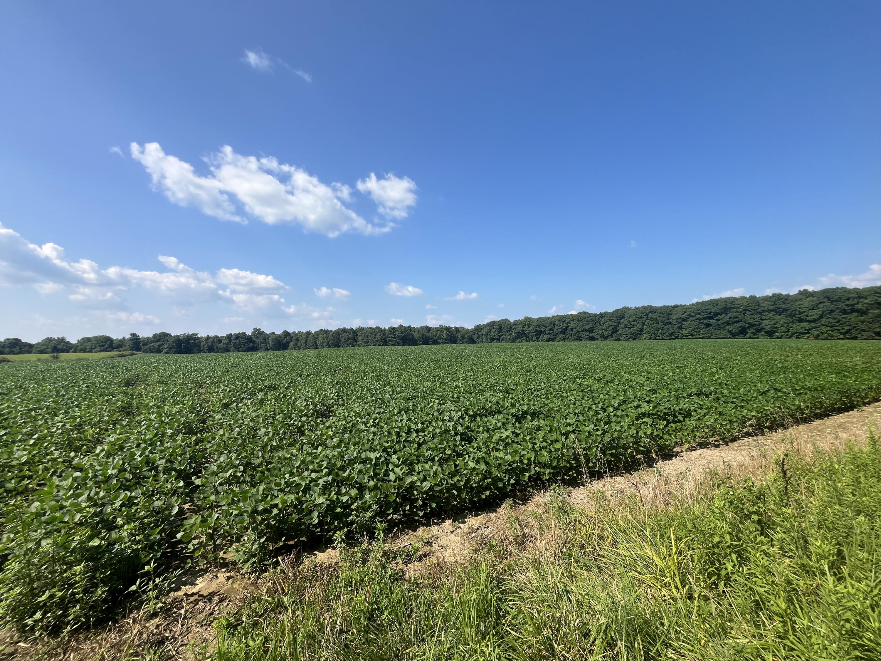 0 Raymond, Marysville, Ohio 43040