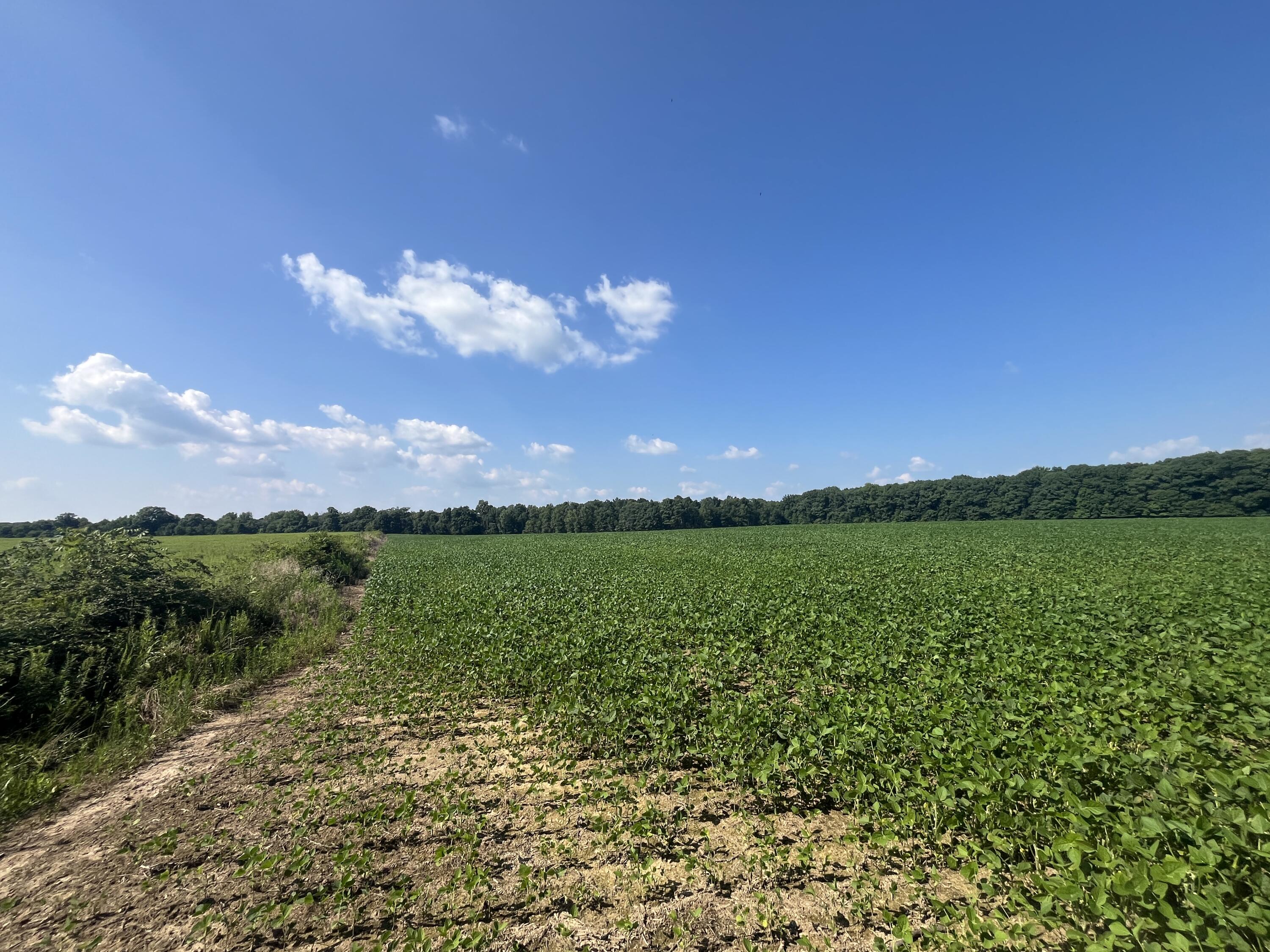 0 Raymond, Marysville, Ohio 43040